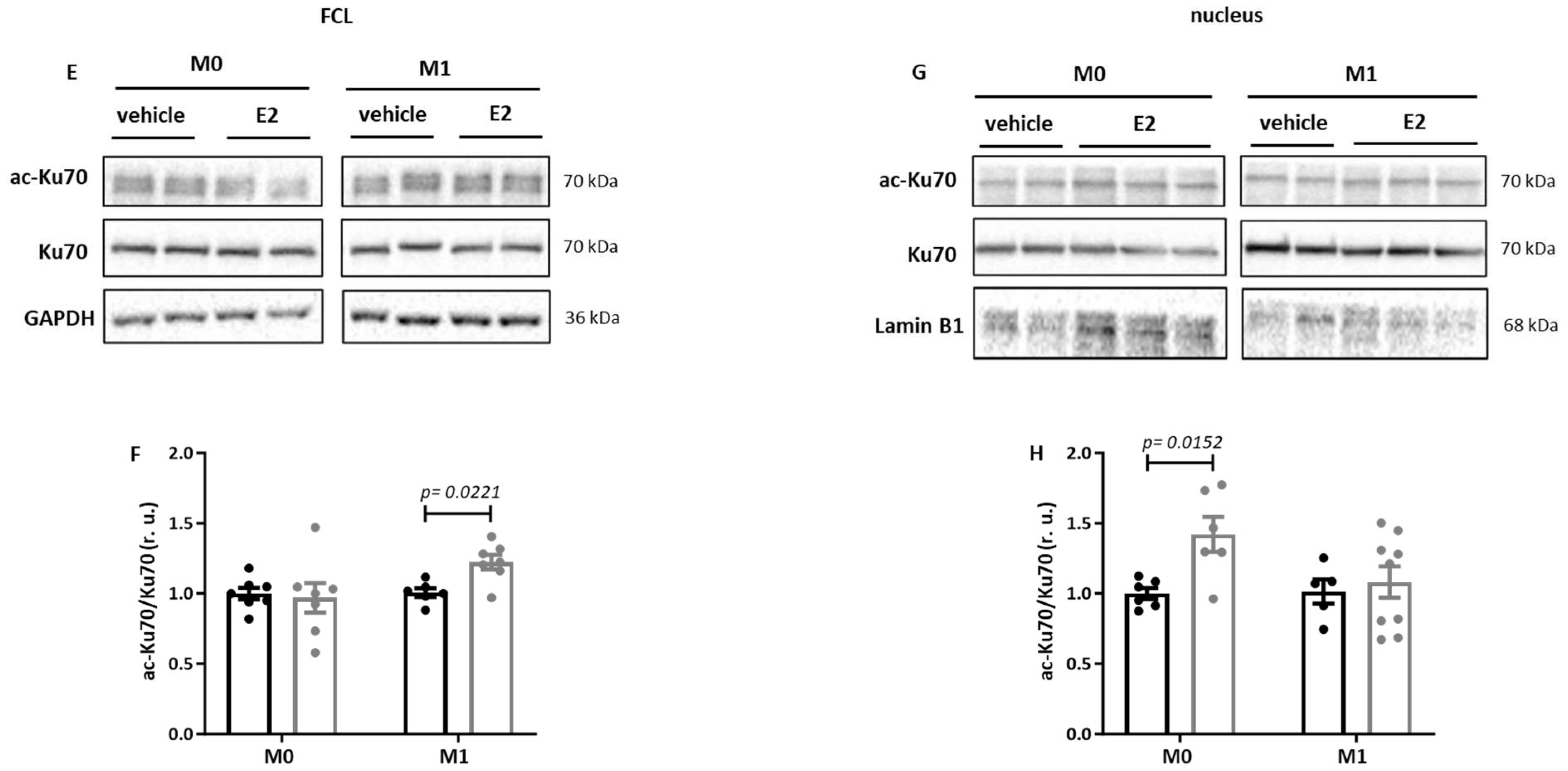 Ijms 26 08670 g004b Ijms 26 08670 g004b