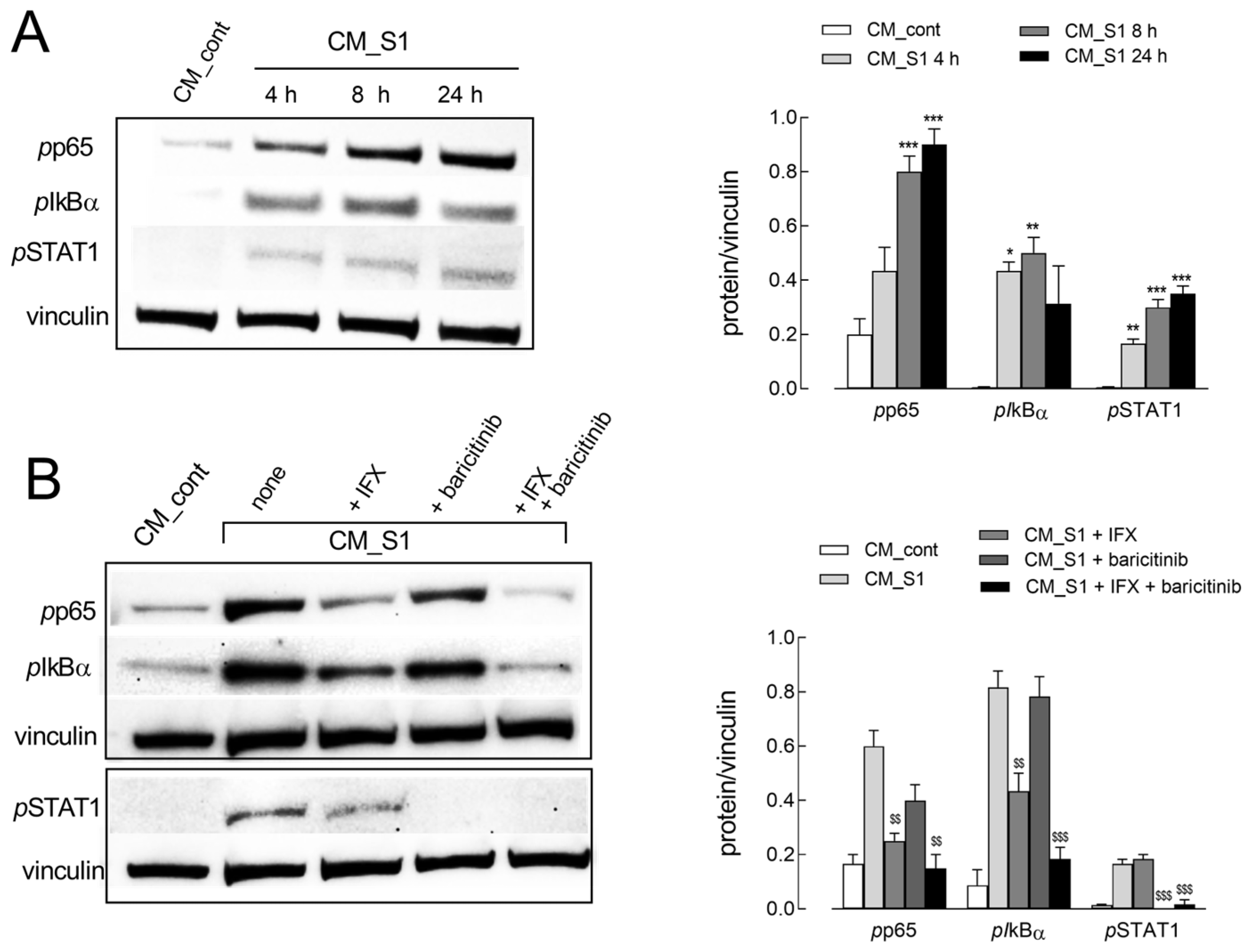 Ijms 26 08672 g002 Ijms 26 08672 g002