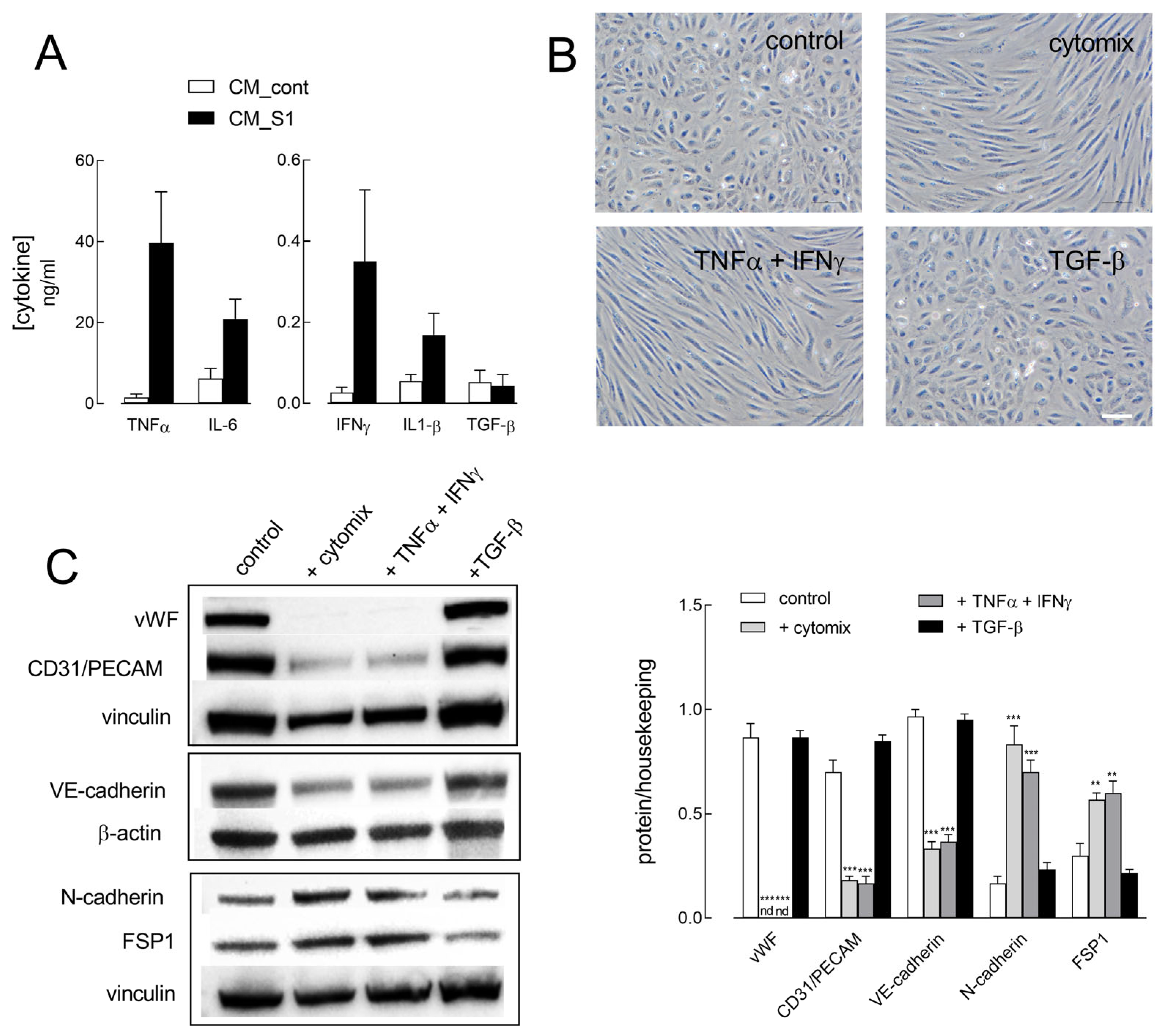 Ijms 26 08672 g005 Ijms 26 08672 g005