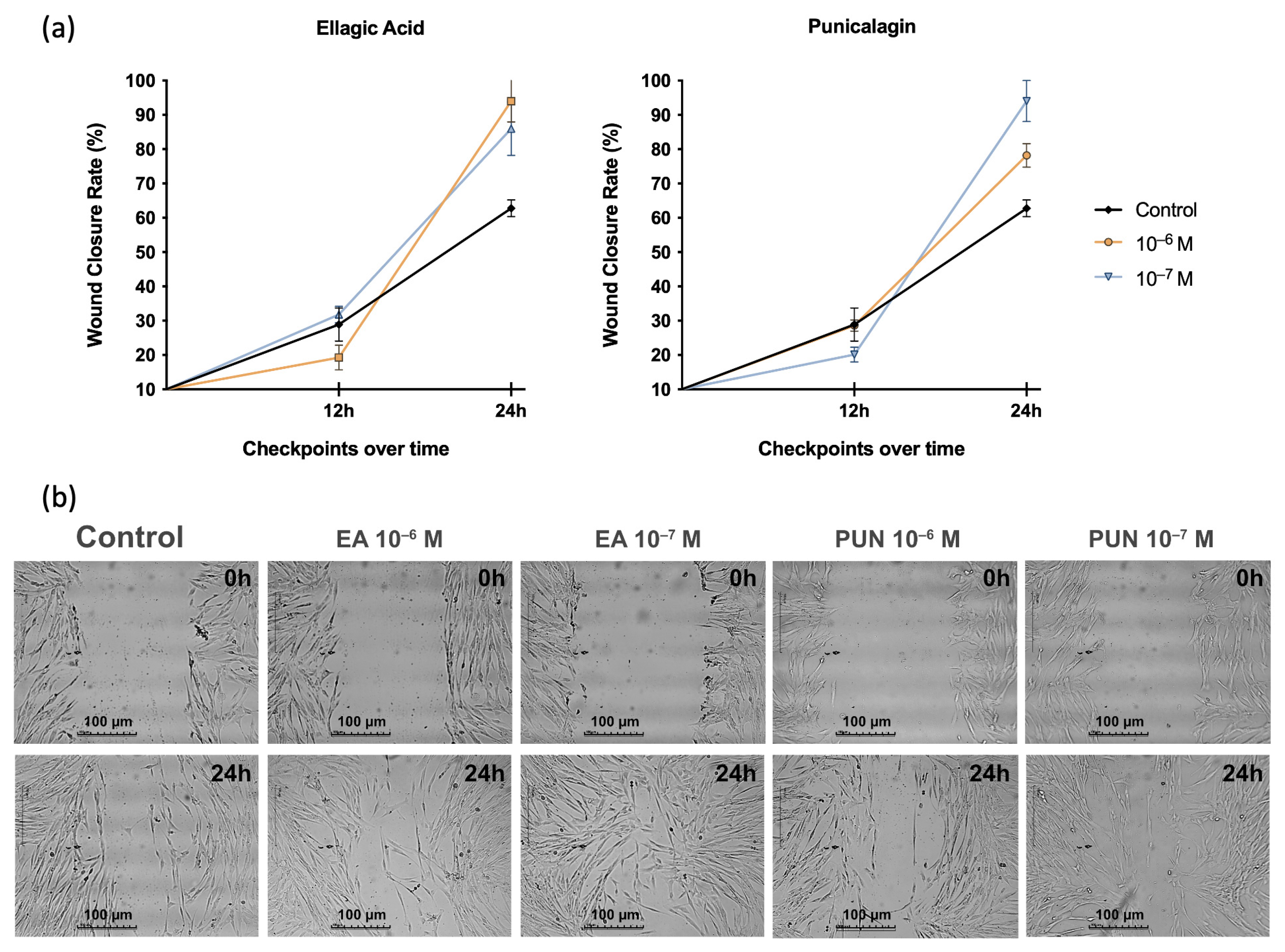 Ijms 26 08681 g003 Ijms 26 08681 g003