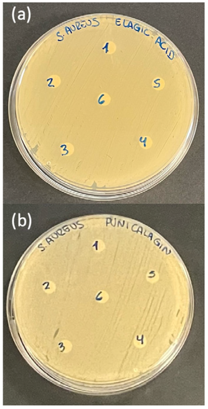Ijms 26 08681 g004 Ijms 26 08681 g004