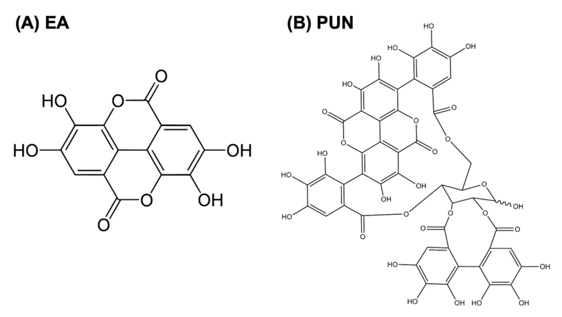 Ijms 26 08681 g005 Ijms 26 08681 g005