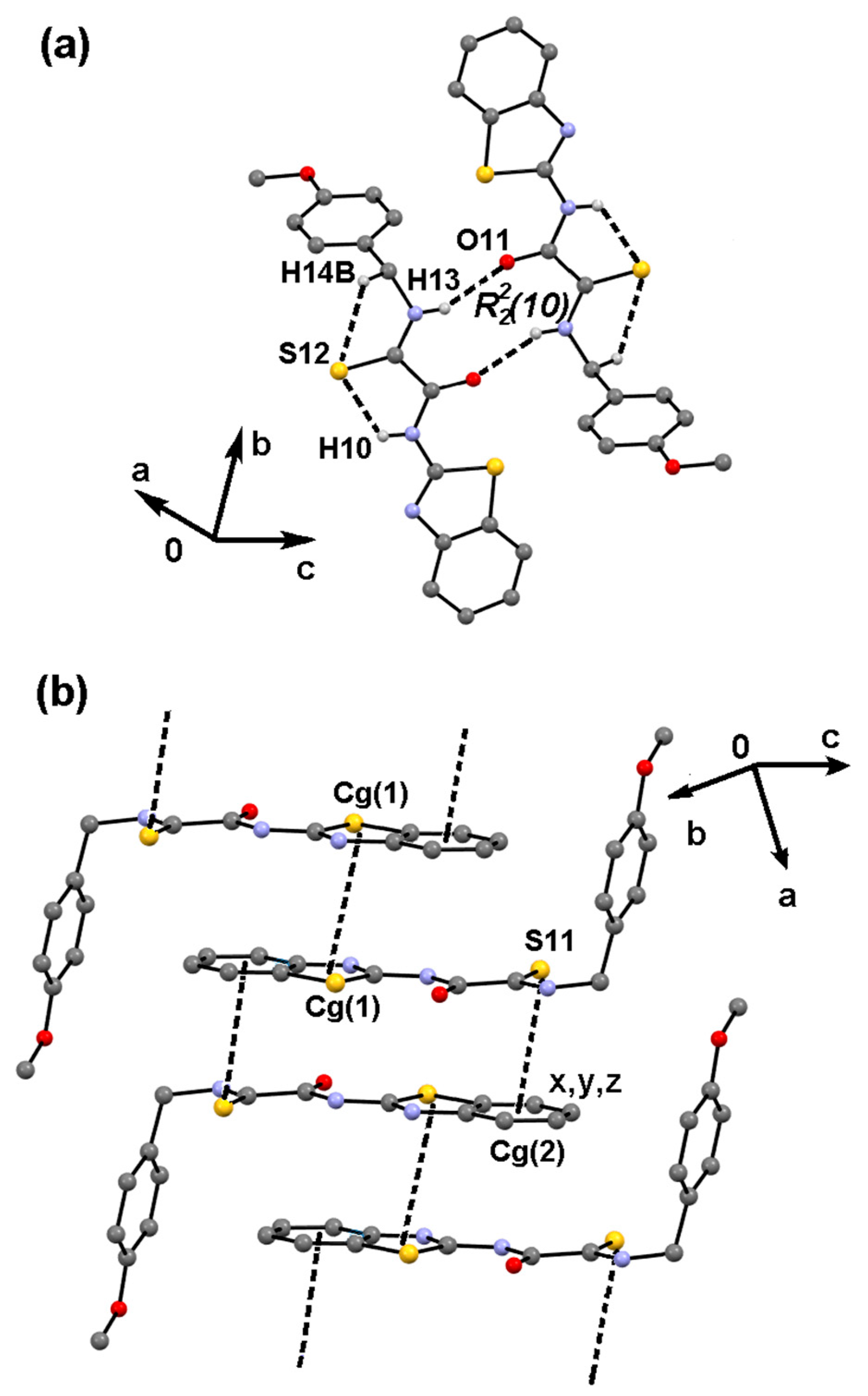 Ijms 26 08684 g006 Ijms 26 08684 g006