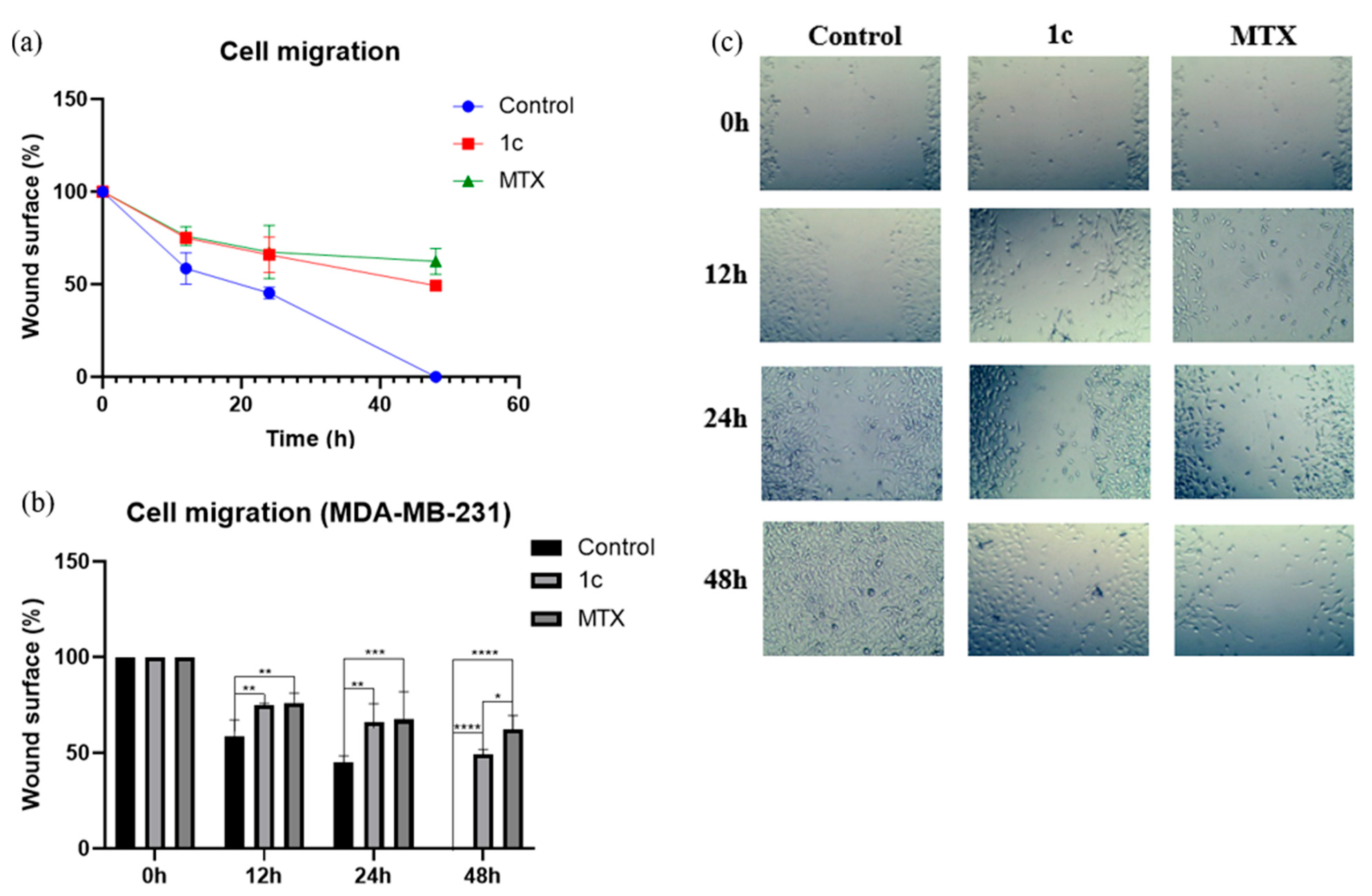 Ijms 26 08684 g009 Ijms 26 08684 g009