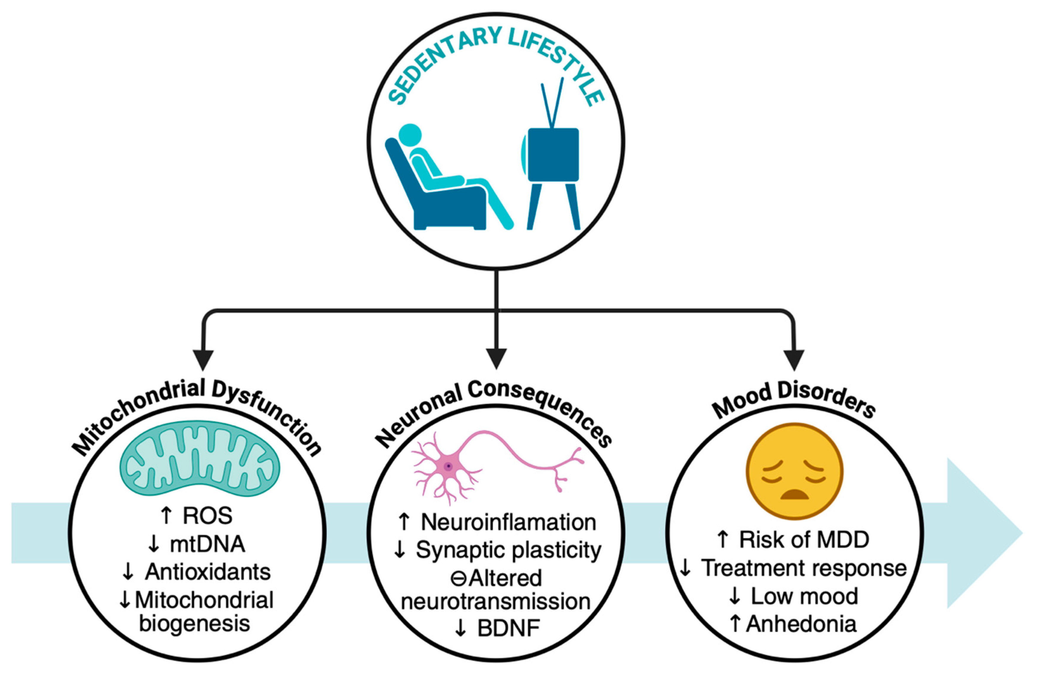 Ijms 26 08697 g002 Ijms 26 08697 g002