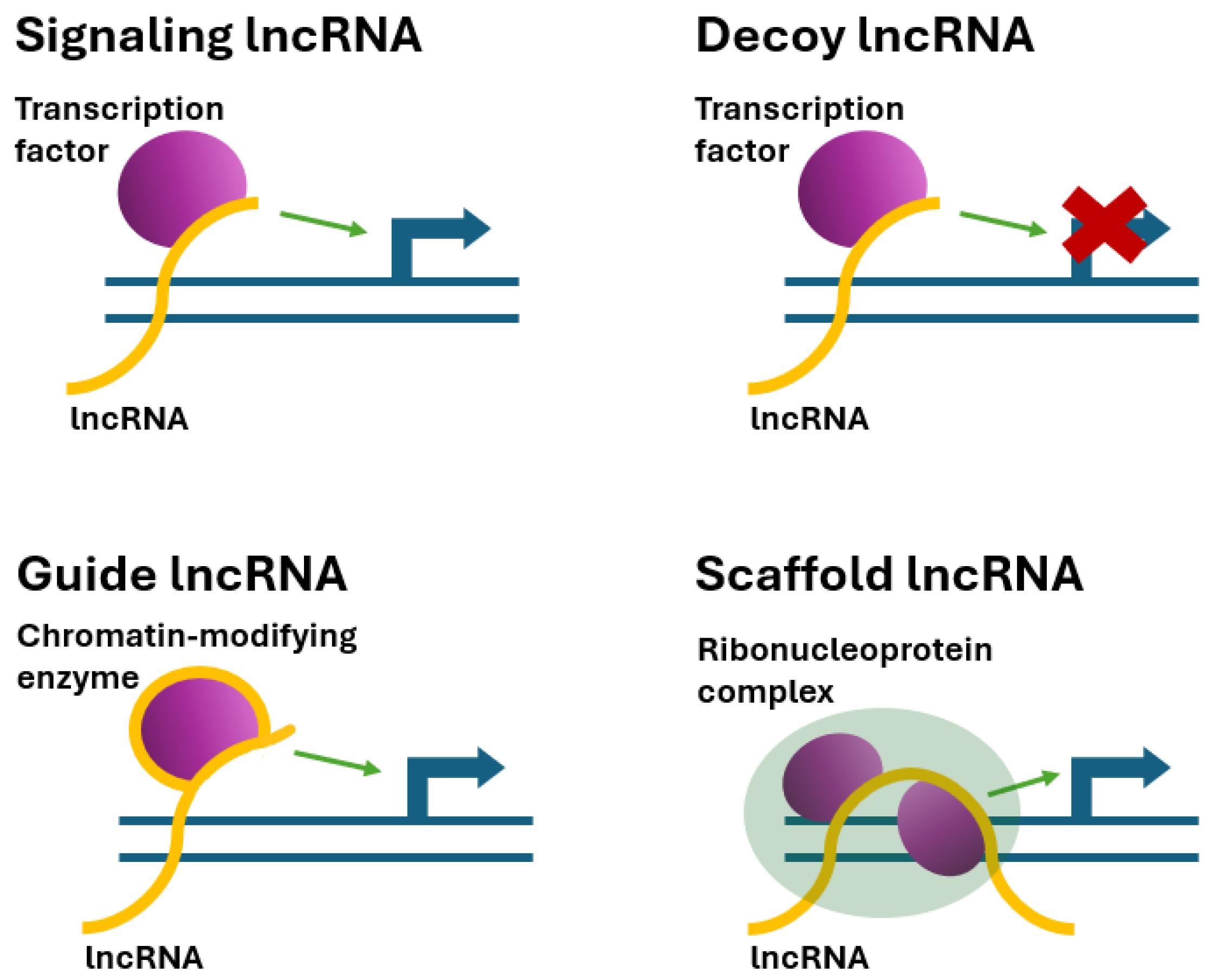 Ijms 26 08702 g002 Ijms 26 08702 g002
