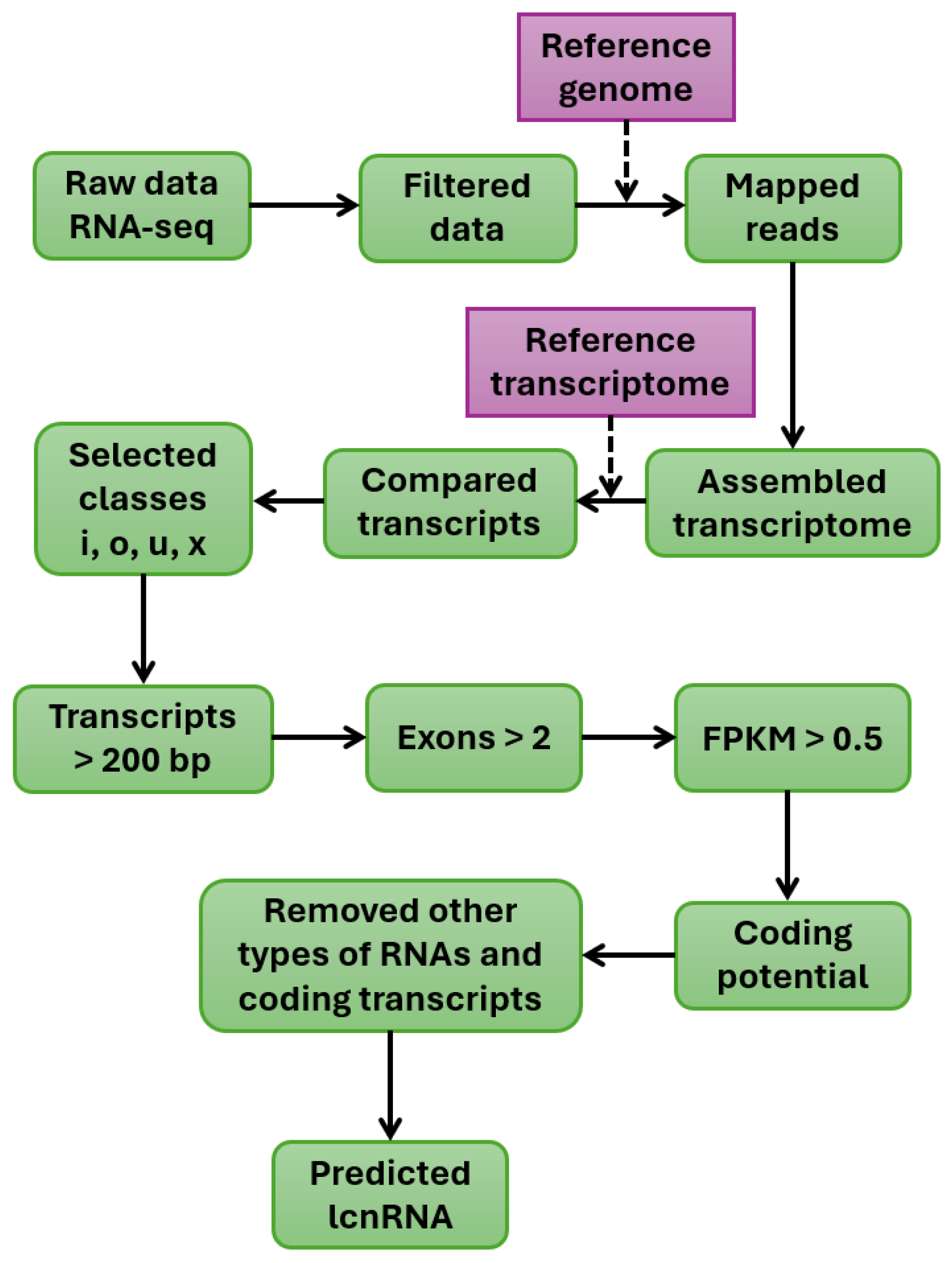 Ijms 26 08702 g004 Ijms 26 08702 g004