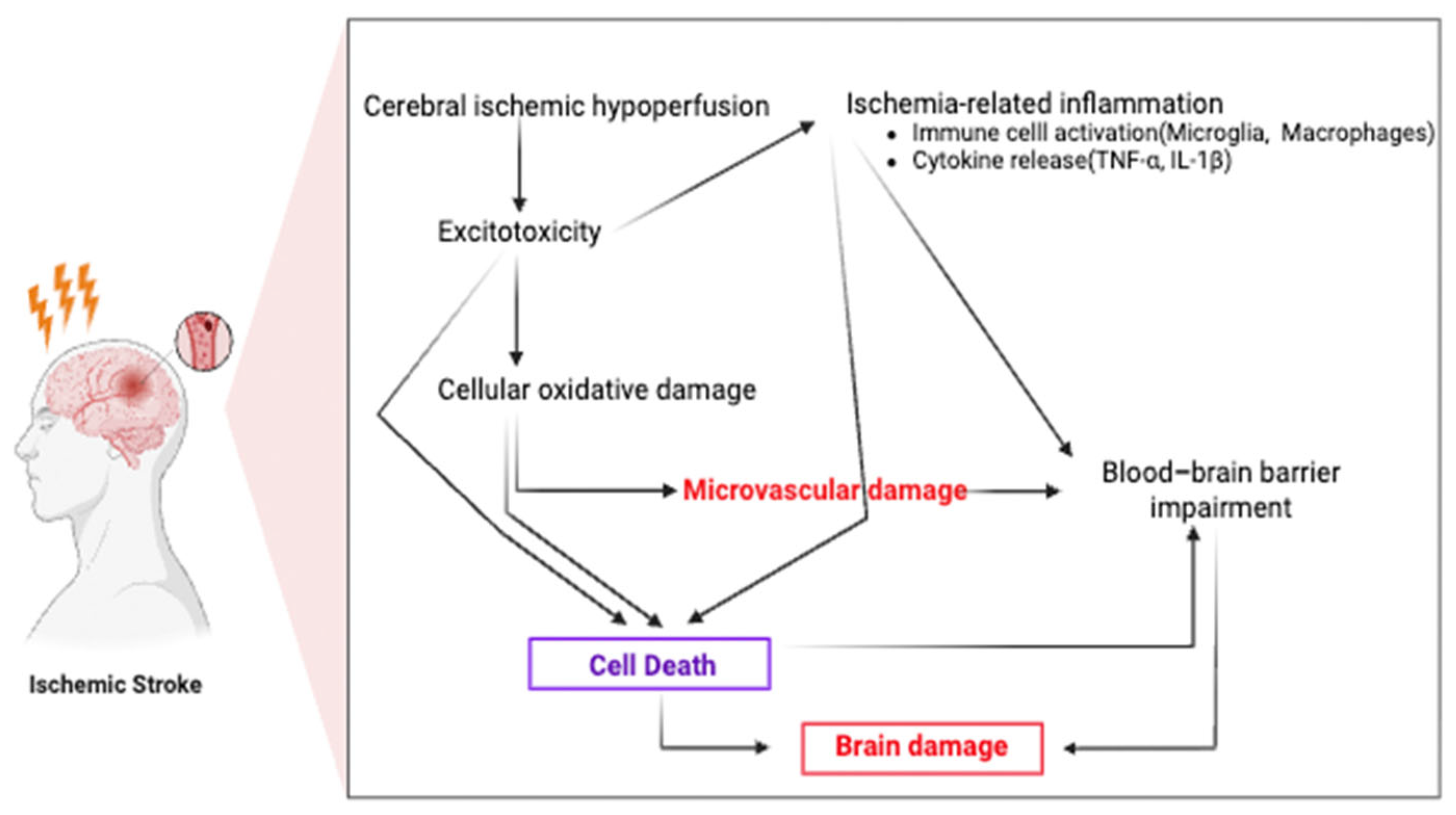Ijms 26 08708 g001 Ijms 26 08708 g001