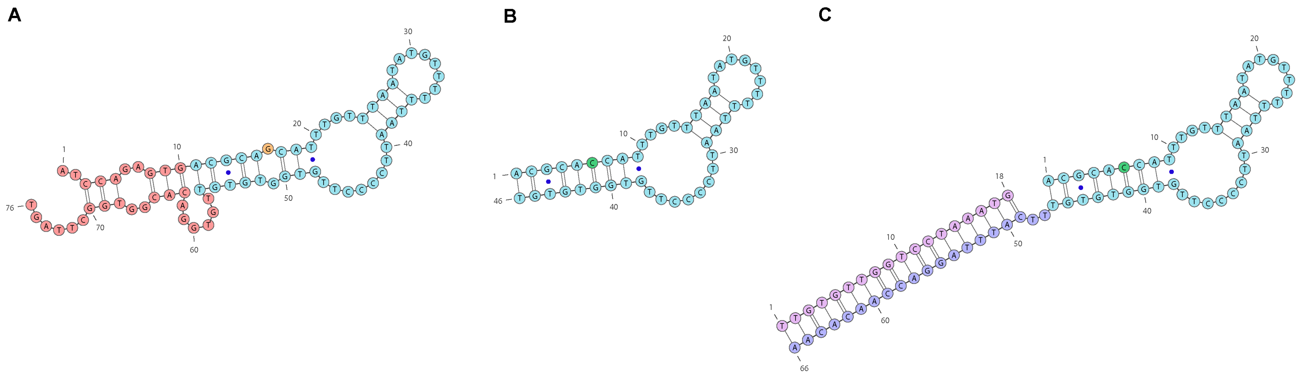 Ijms 26 08712 g001 Ijms 26 08712 g001