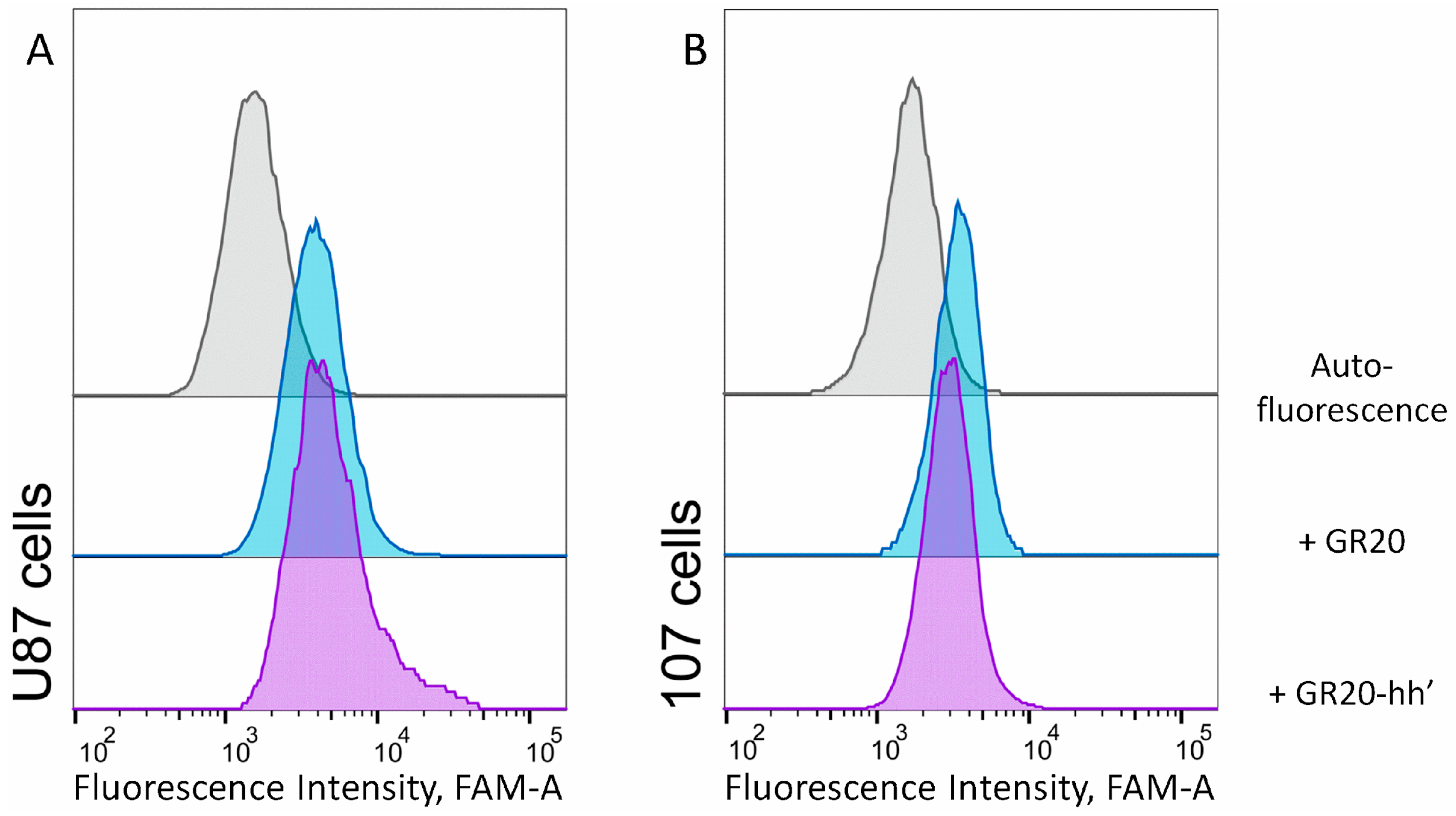 Ijms 26 08712 g006 Ijms 26 08712 g006