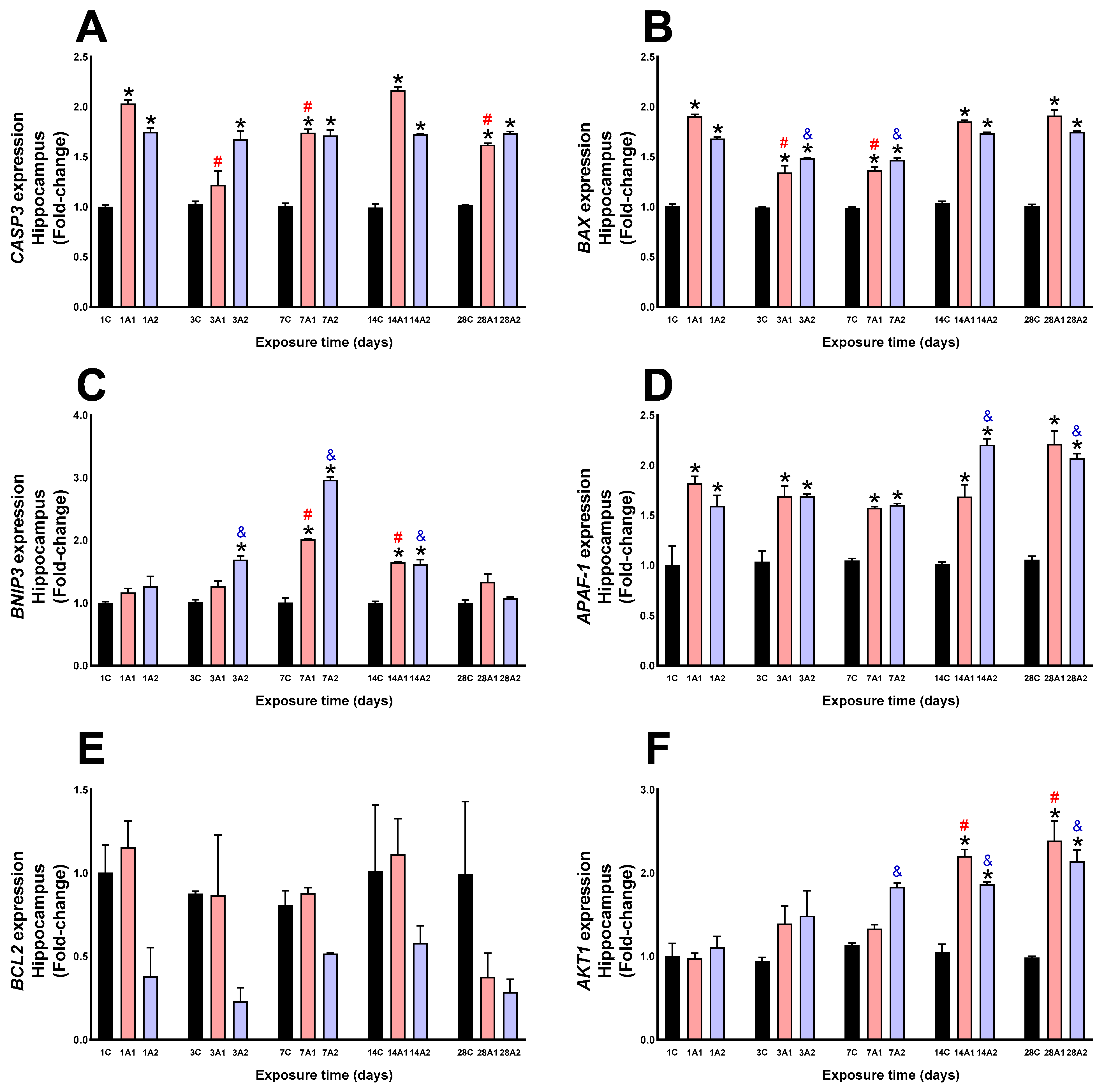 Ijms 26 08714 g006 Ijms 26 08714 g006