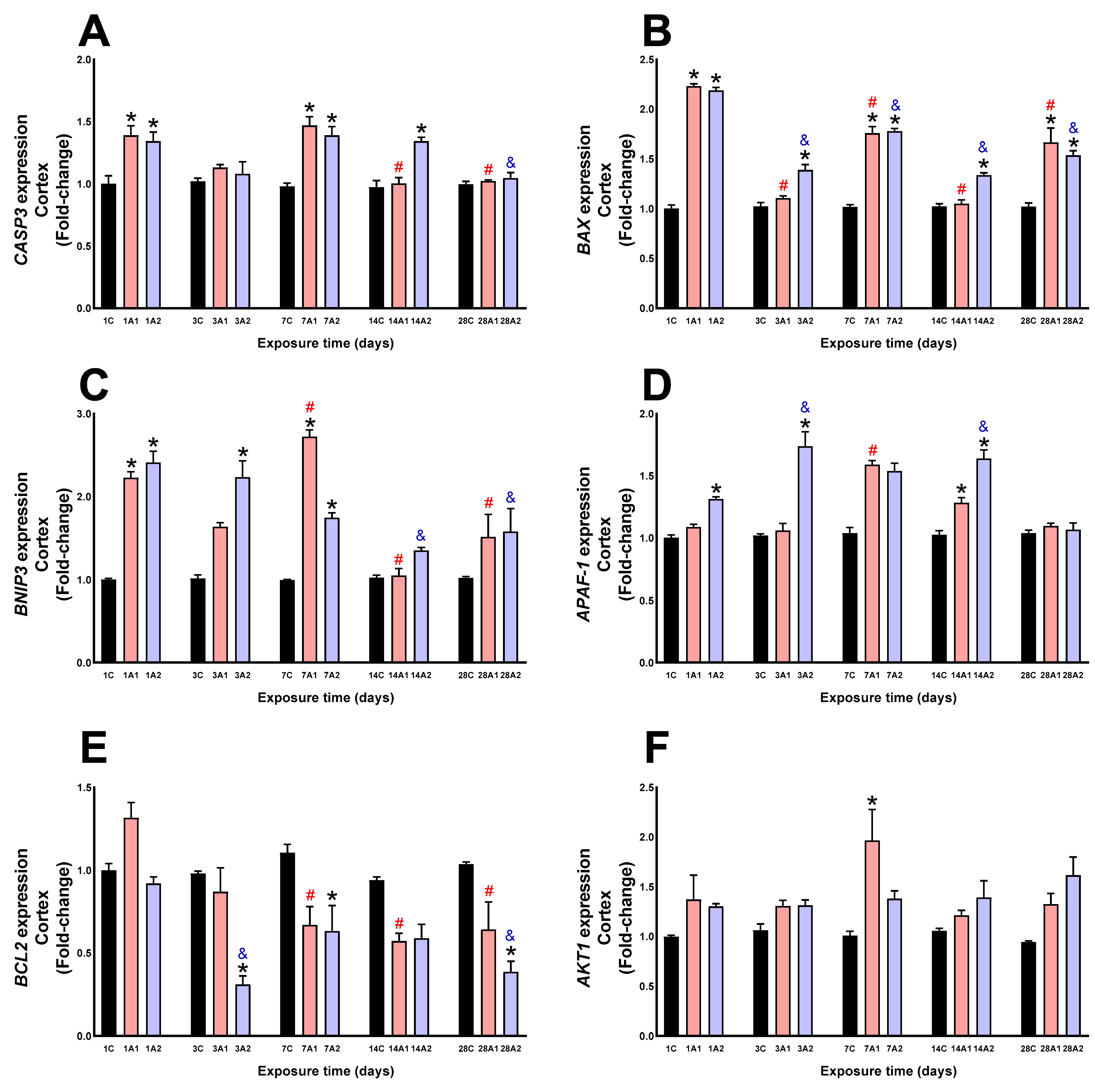 Ijms 26 08714 g007 Ijms 26 08714 g007