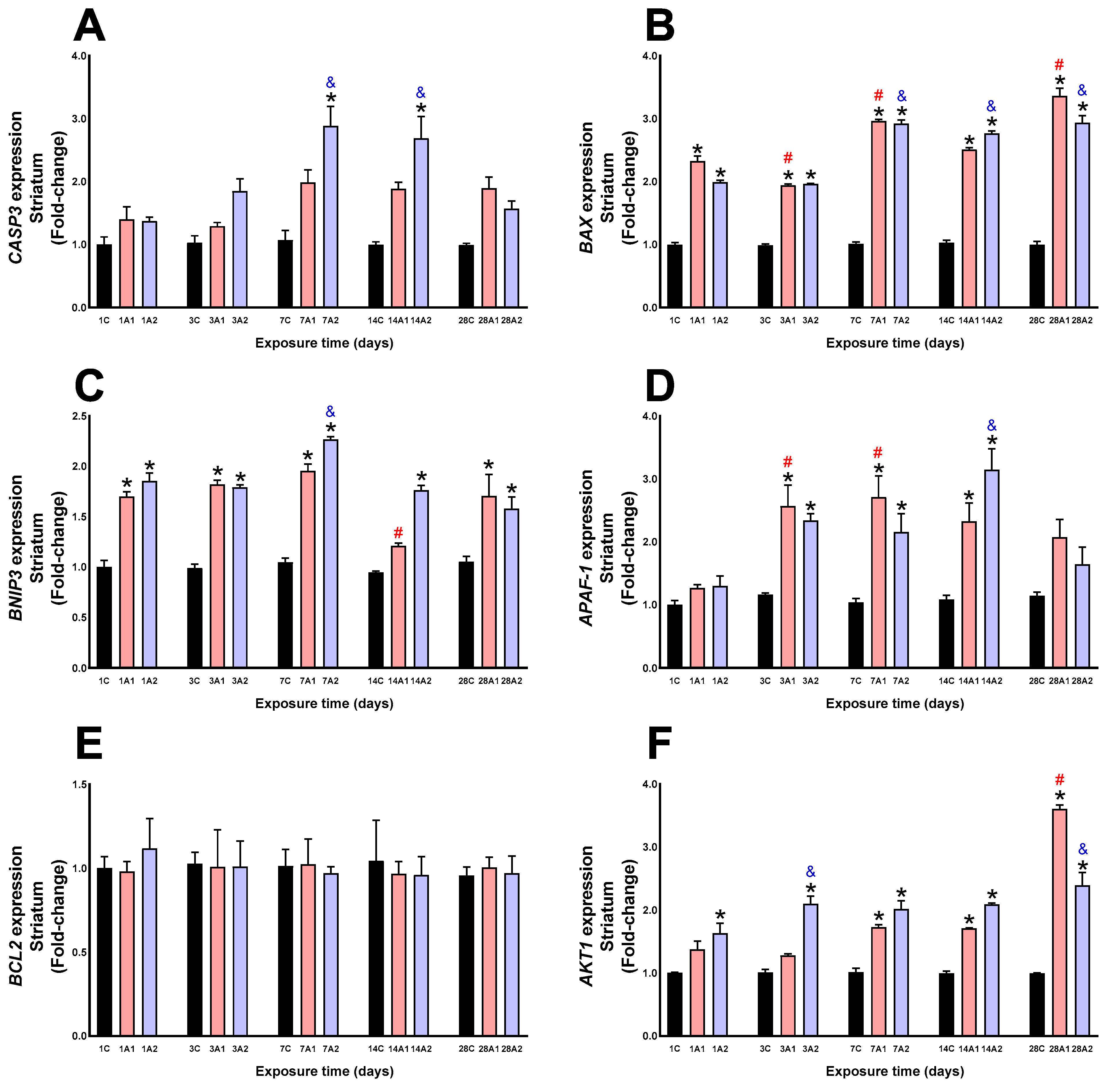 Ijms 26 08714 g008 Ijms 26 08714 g008