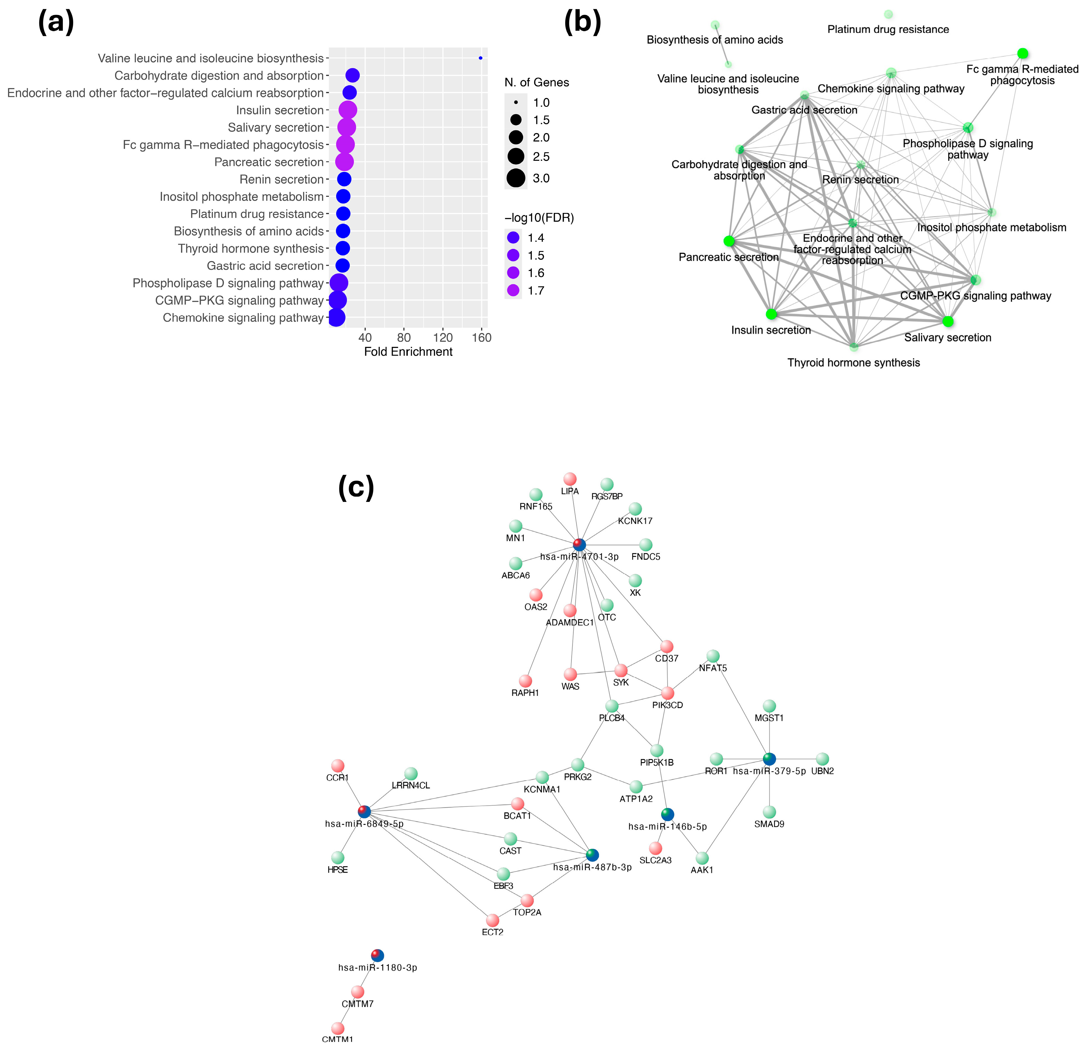 Ijms 26 08727 g004 Ijms 26 08727 g004