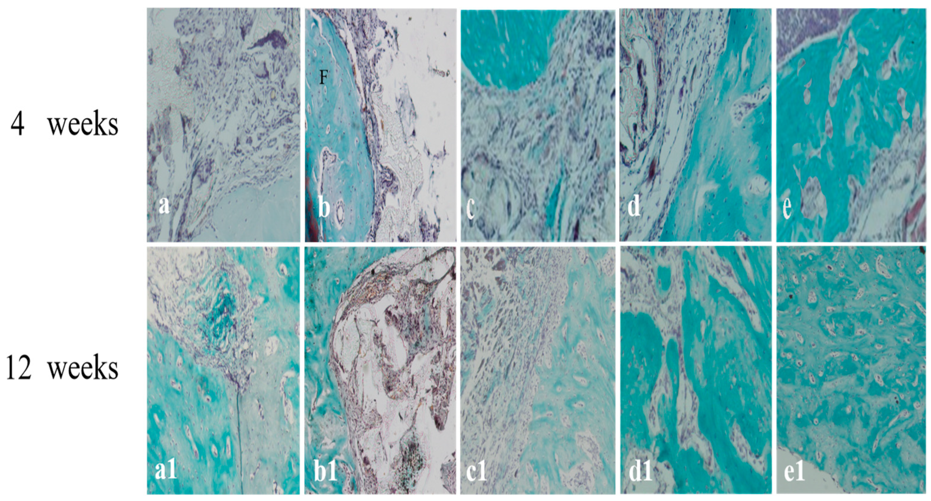 Ijms 26 08730 g007 Ijms 26 08730 g007