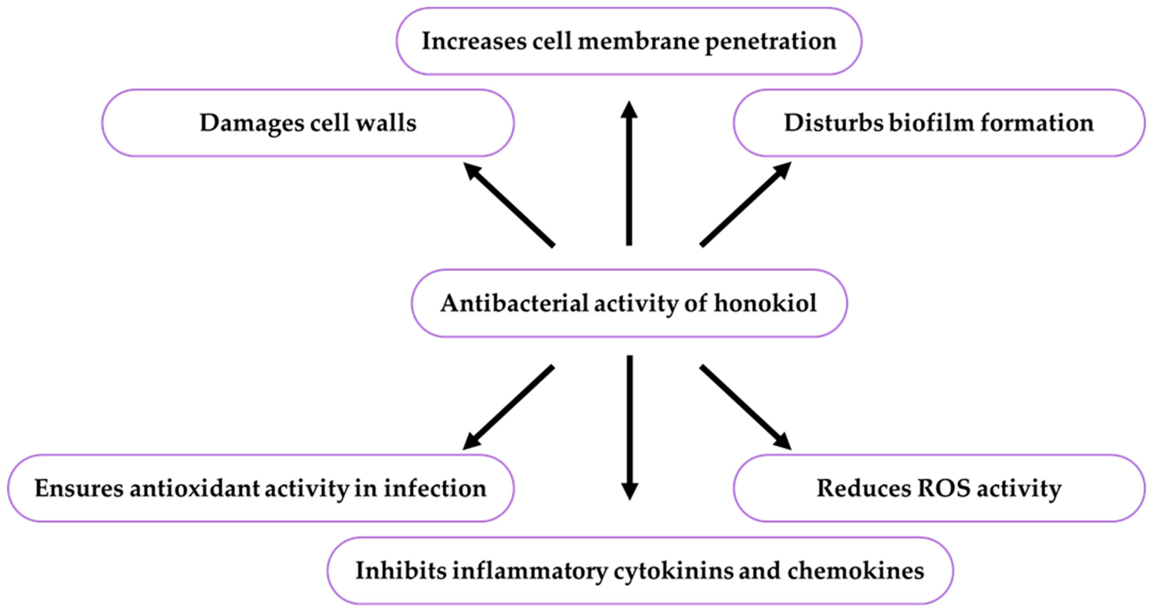 Ijms 26 08737 g004 Ijms 26 08737 g004