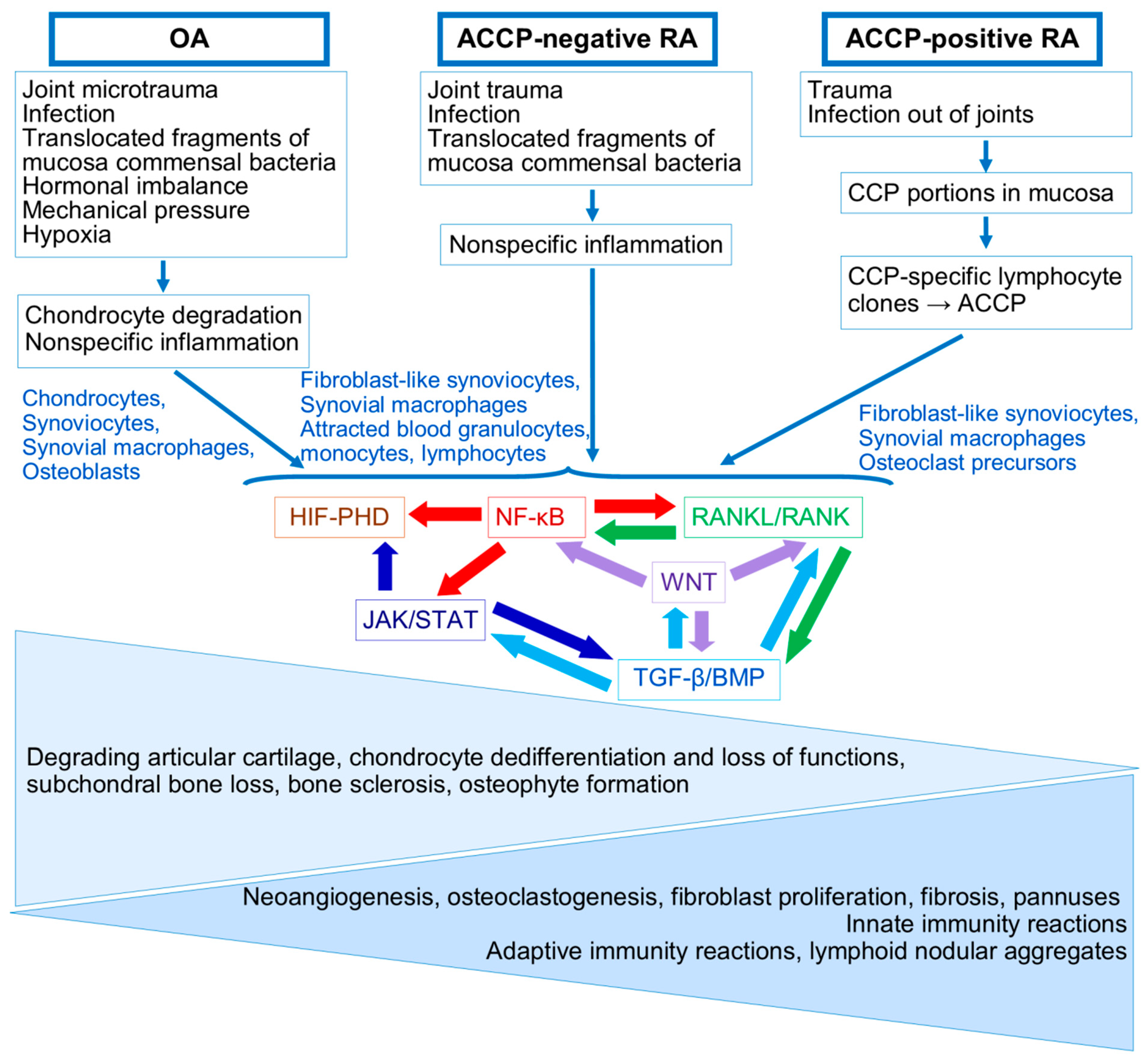 Ijms 26 08742 g005 Ijms 26 08742 g005