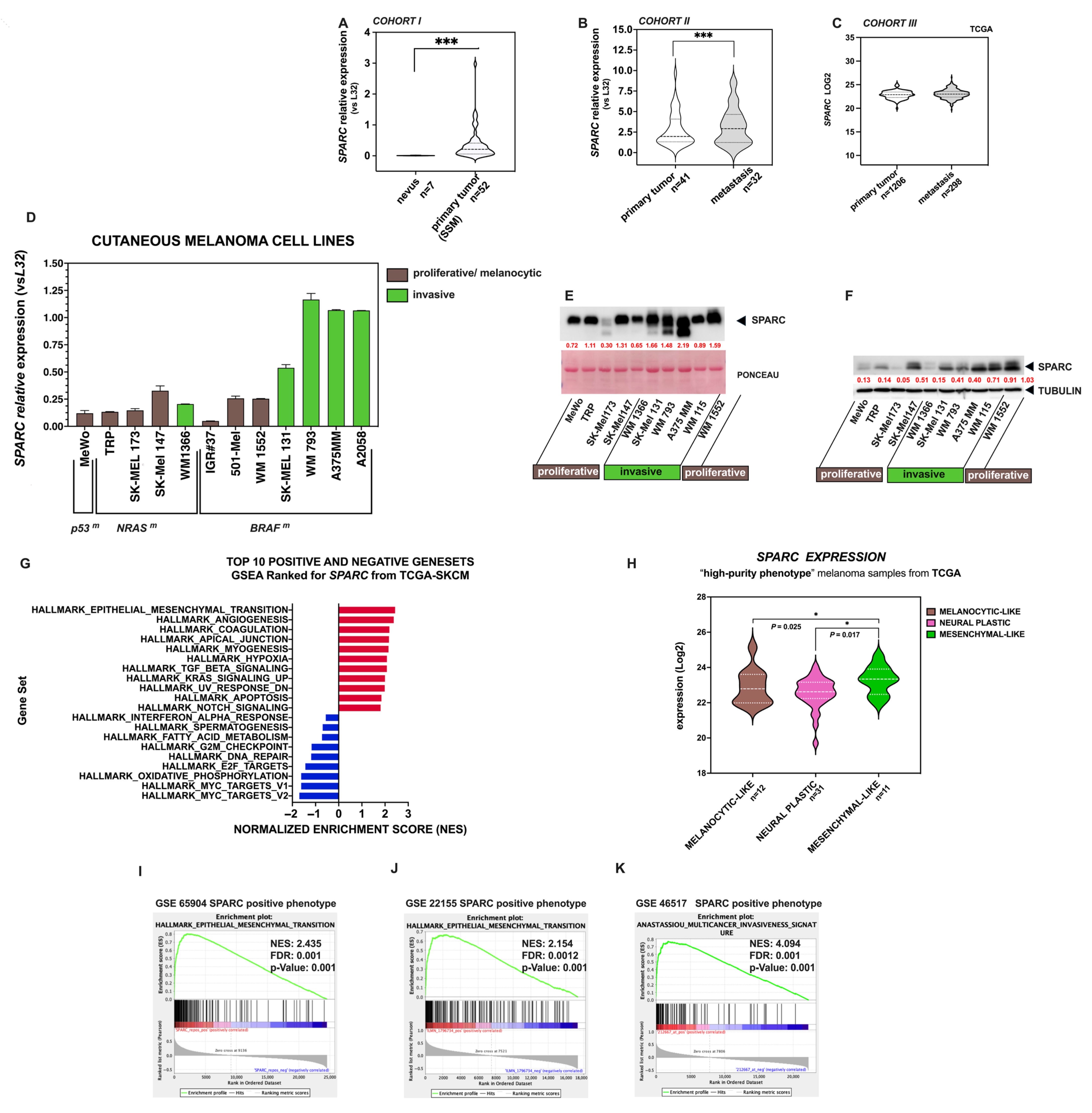 Ijms 26 08743 g001 Ijms 26 08743 g001