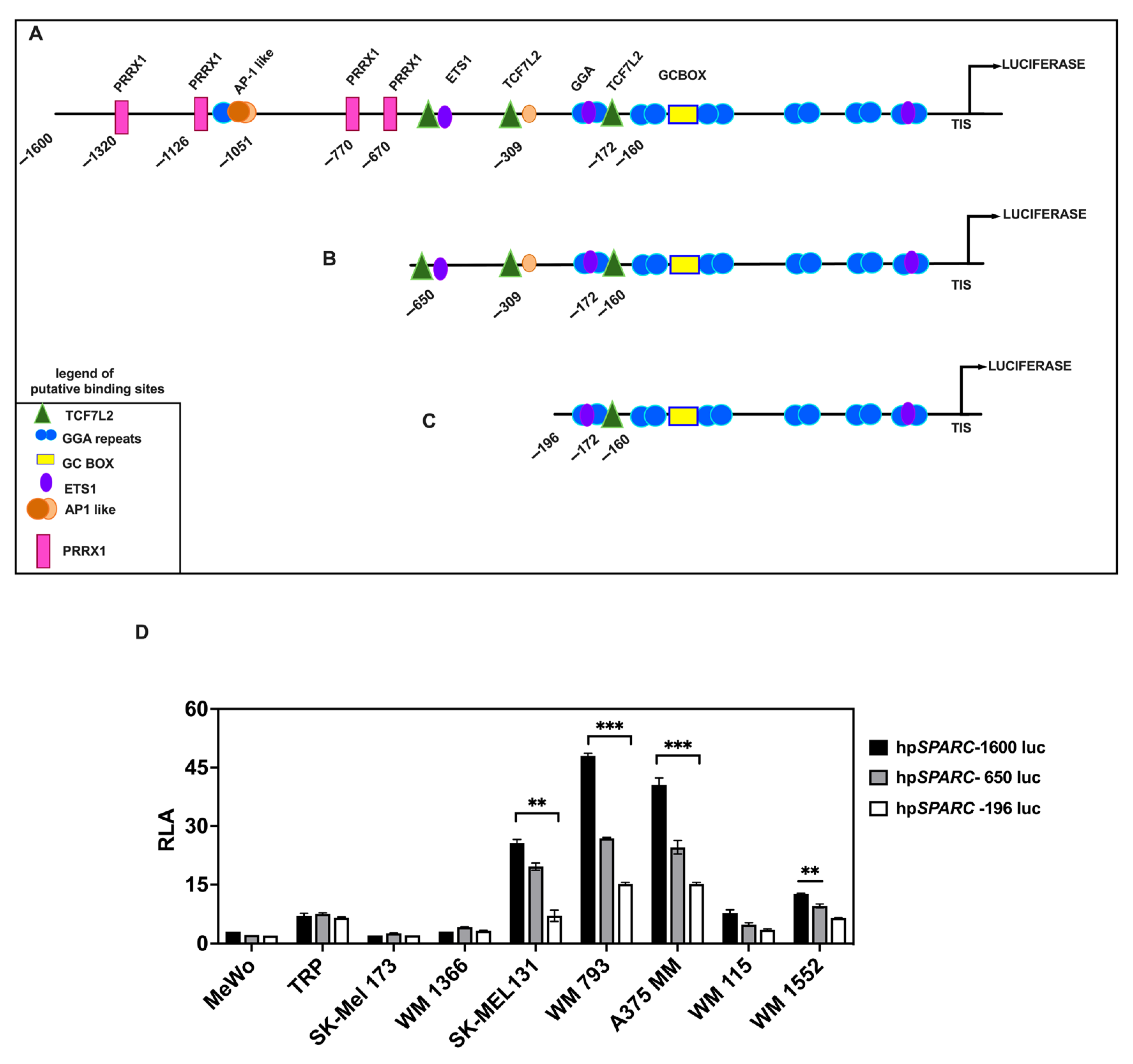 Ijms 26 08743 g002 Ijms 26 08743 g002