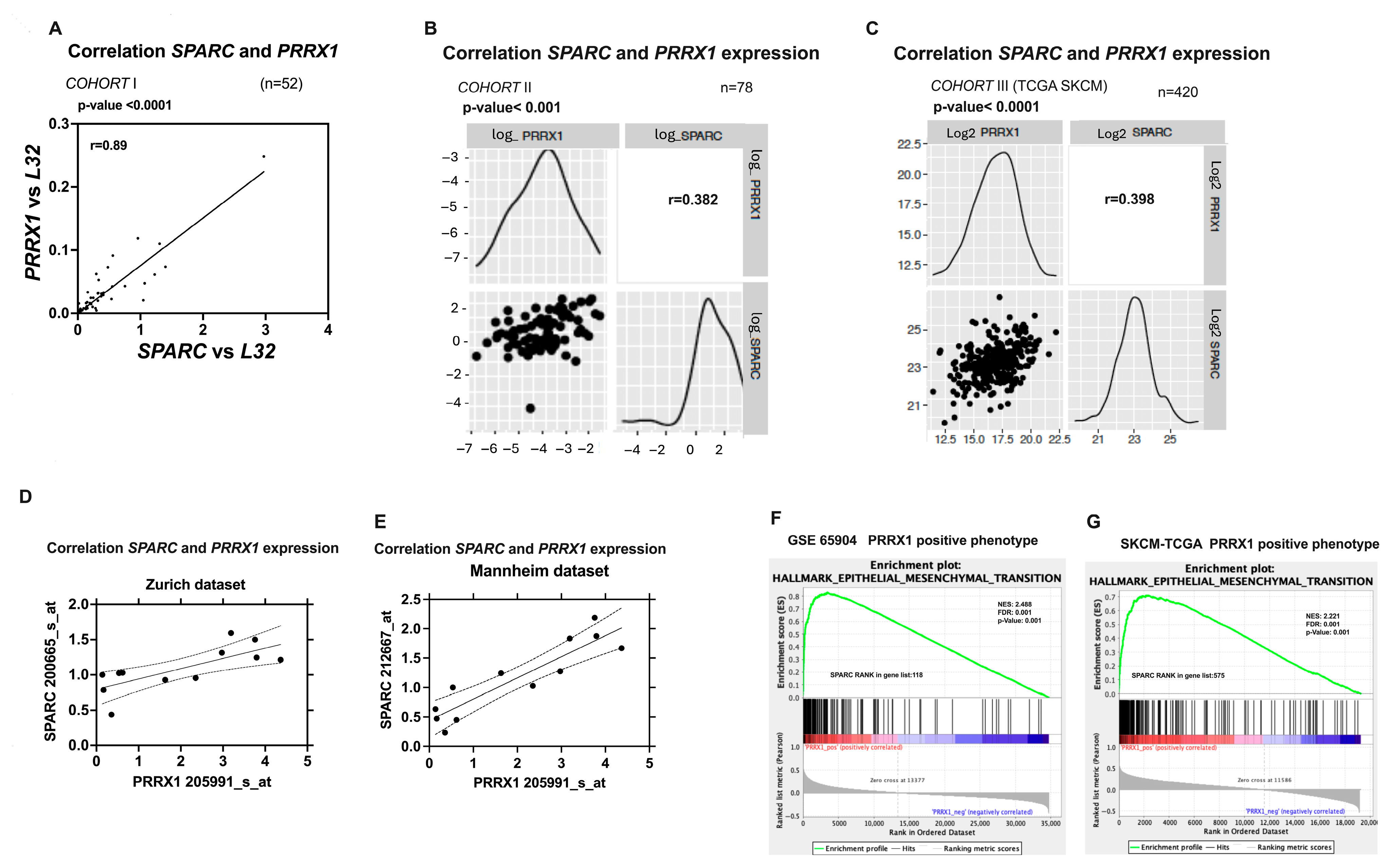 Ijms 26 08743 g004 Ijms 26 08743 g004
