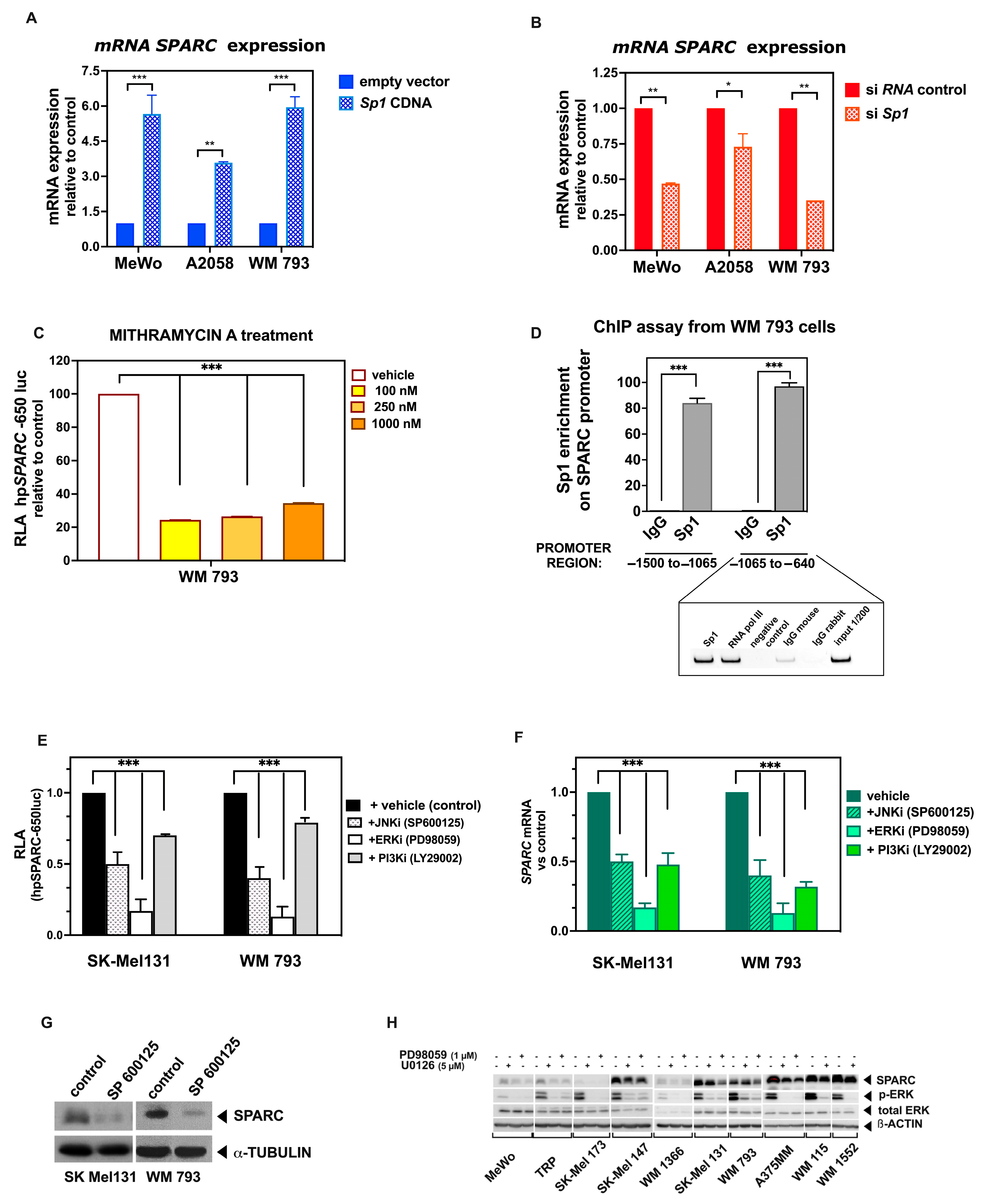 Ijms 26 08743 g006 Ijms 26 08743 g006