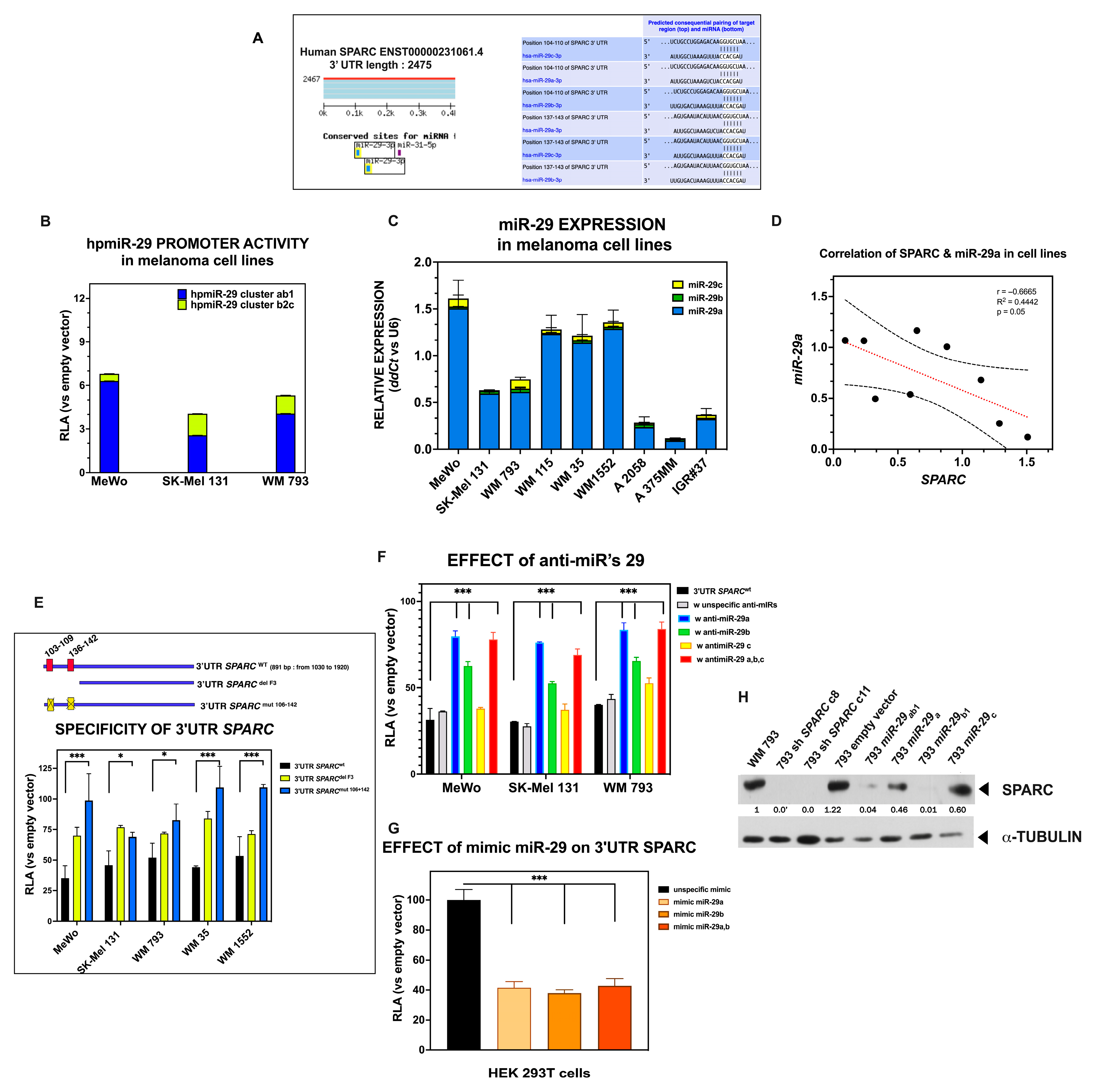 Ijms 26 08743 g007 Ijms 26 08743 g007