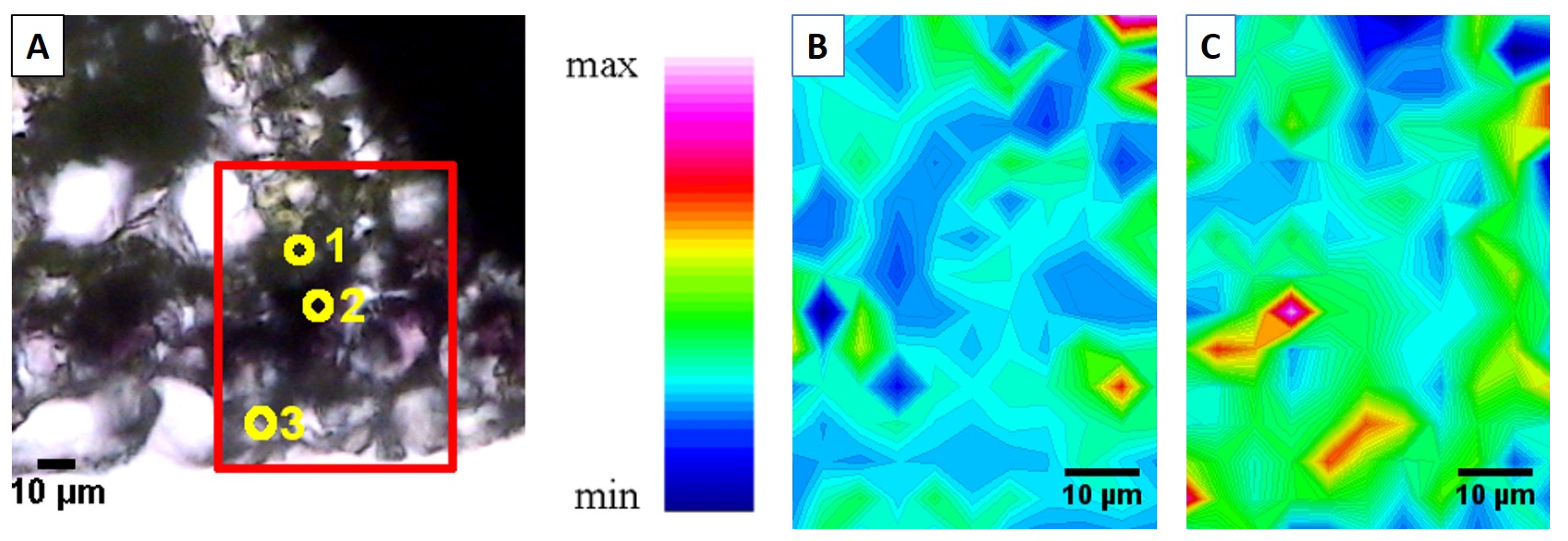 Ijms 26 08748 g005 Ijms 26 08748 g005
