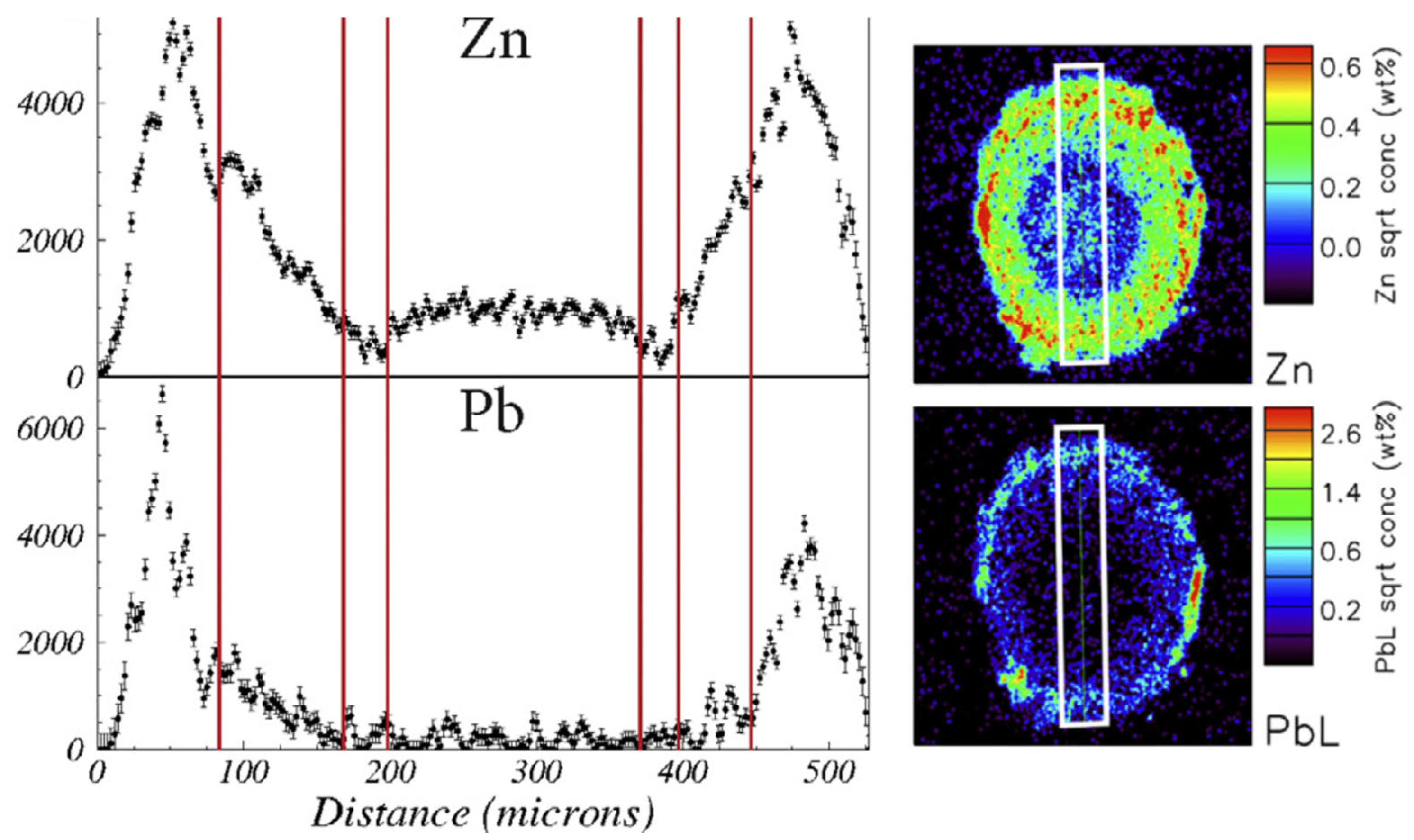 Ijms 26 08748 g006 Ijms 26 08748 g006