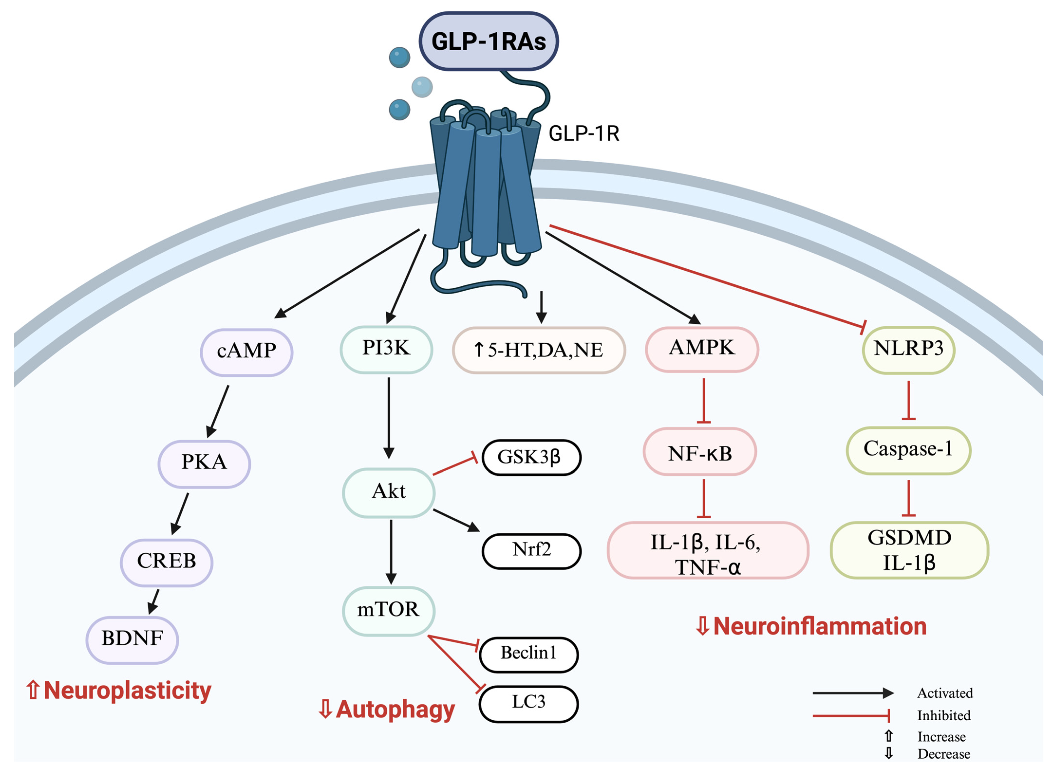 Ijms 26 08755 g001 Ijms 26 08755 g001