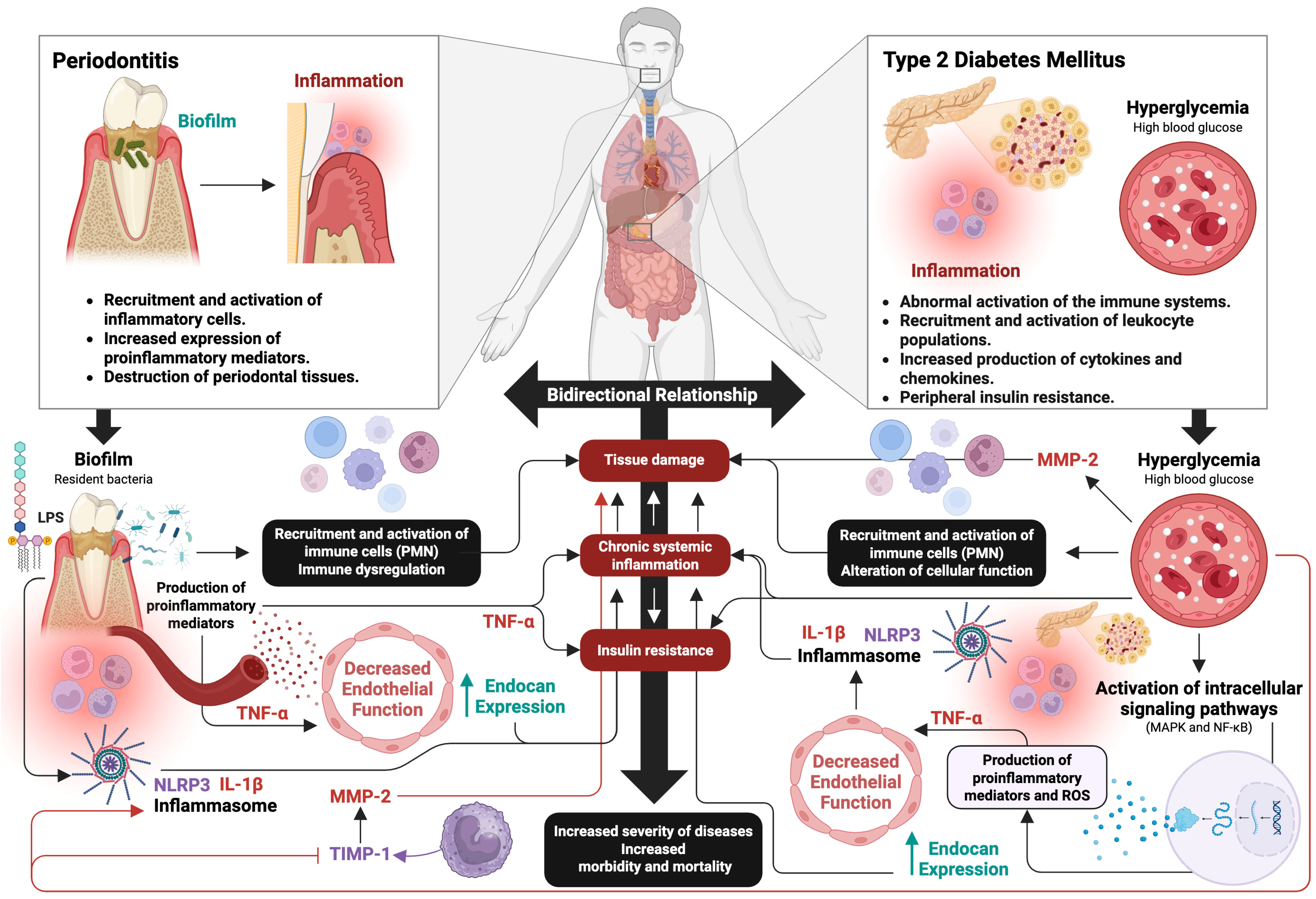 Ijms 26 08756 g002 Ijms 26 08756 g002
