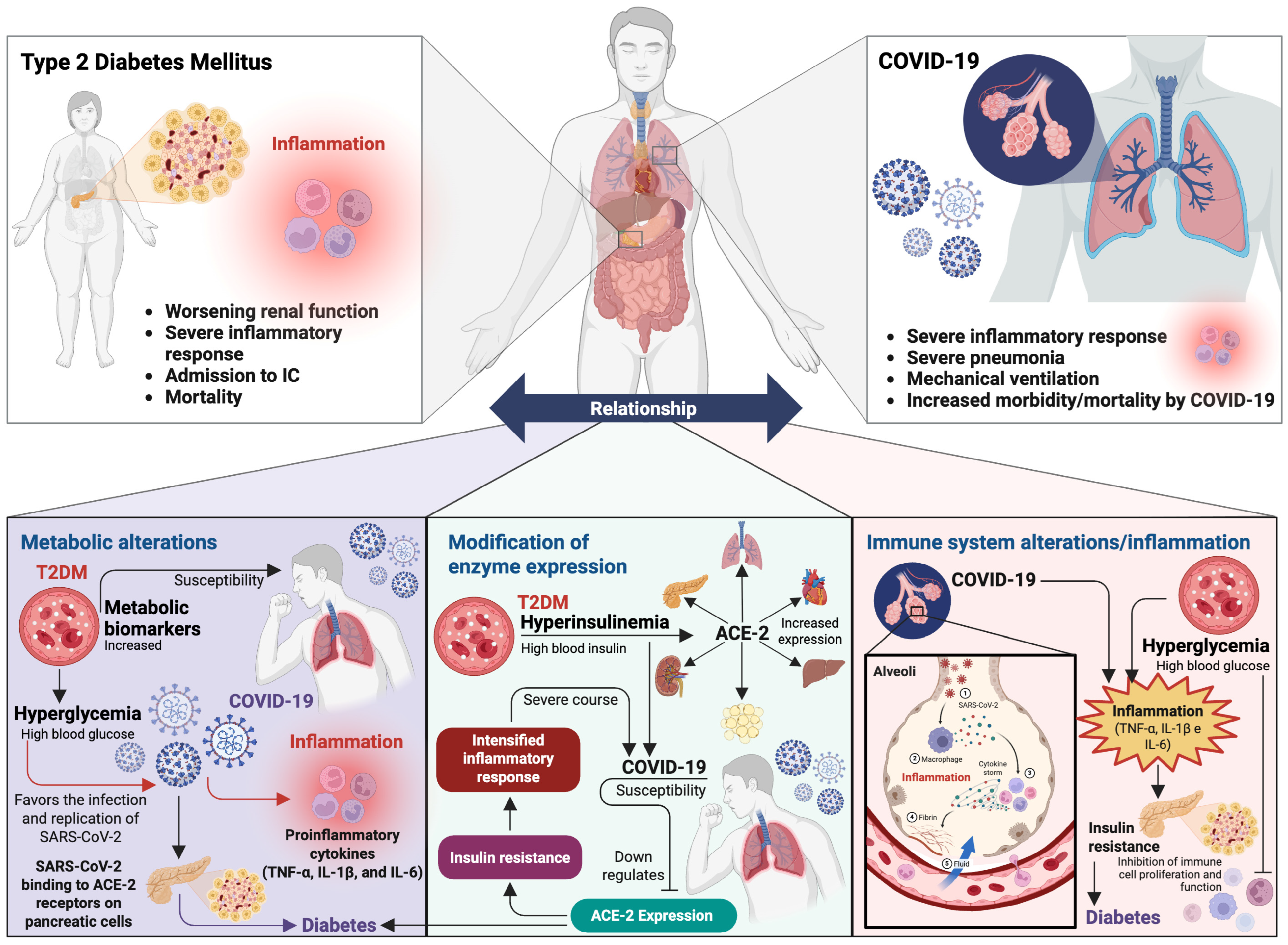 Ijms 26 08756 g004 Ijms 26 08756 g004
