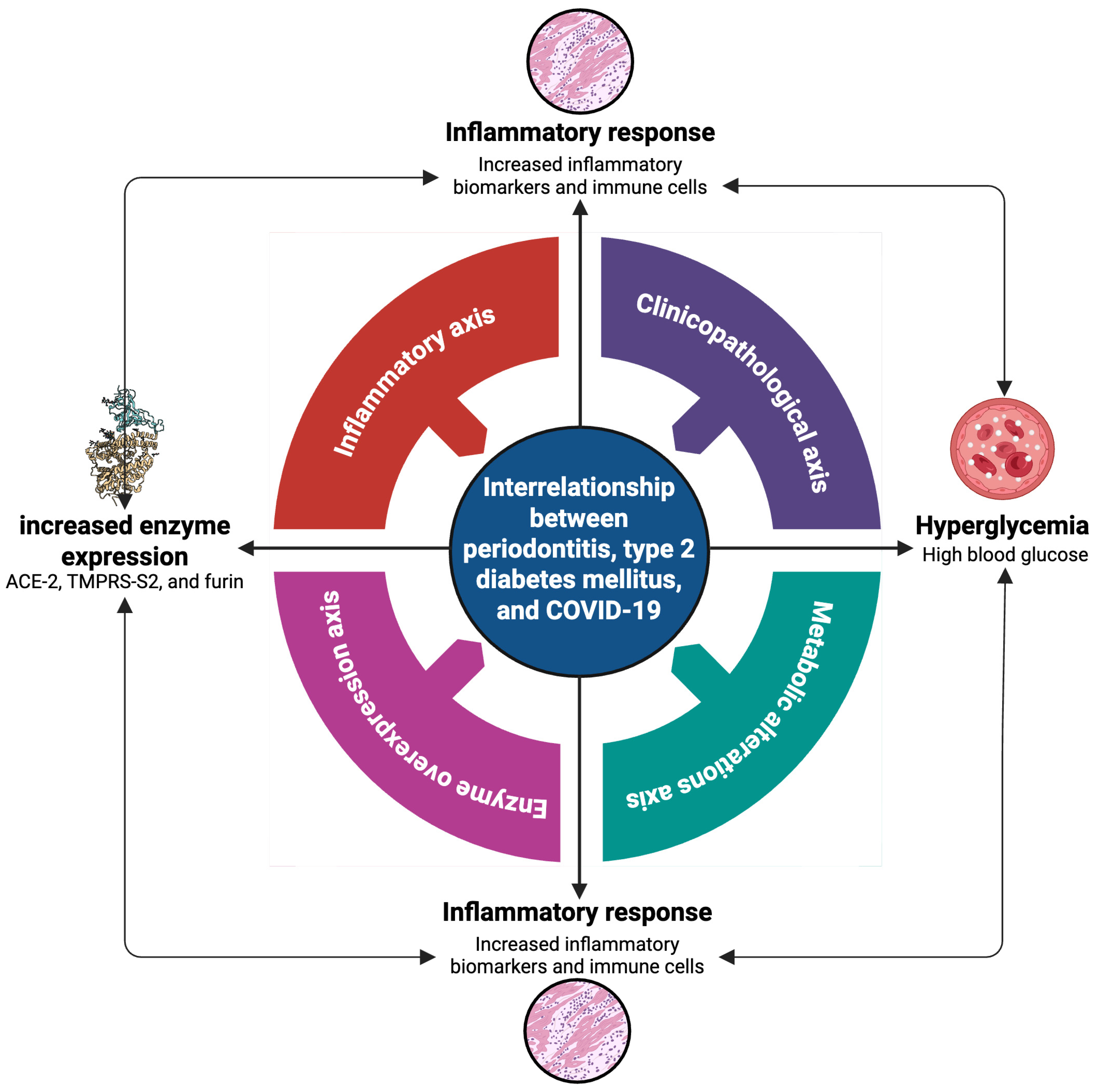 Ijms 26 08756 g005 Ijms 26 08756 g005