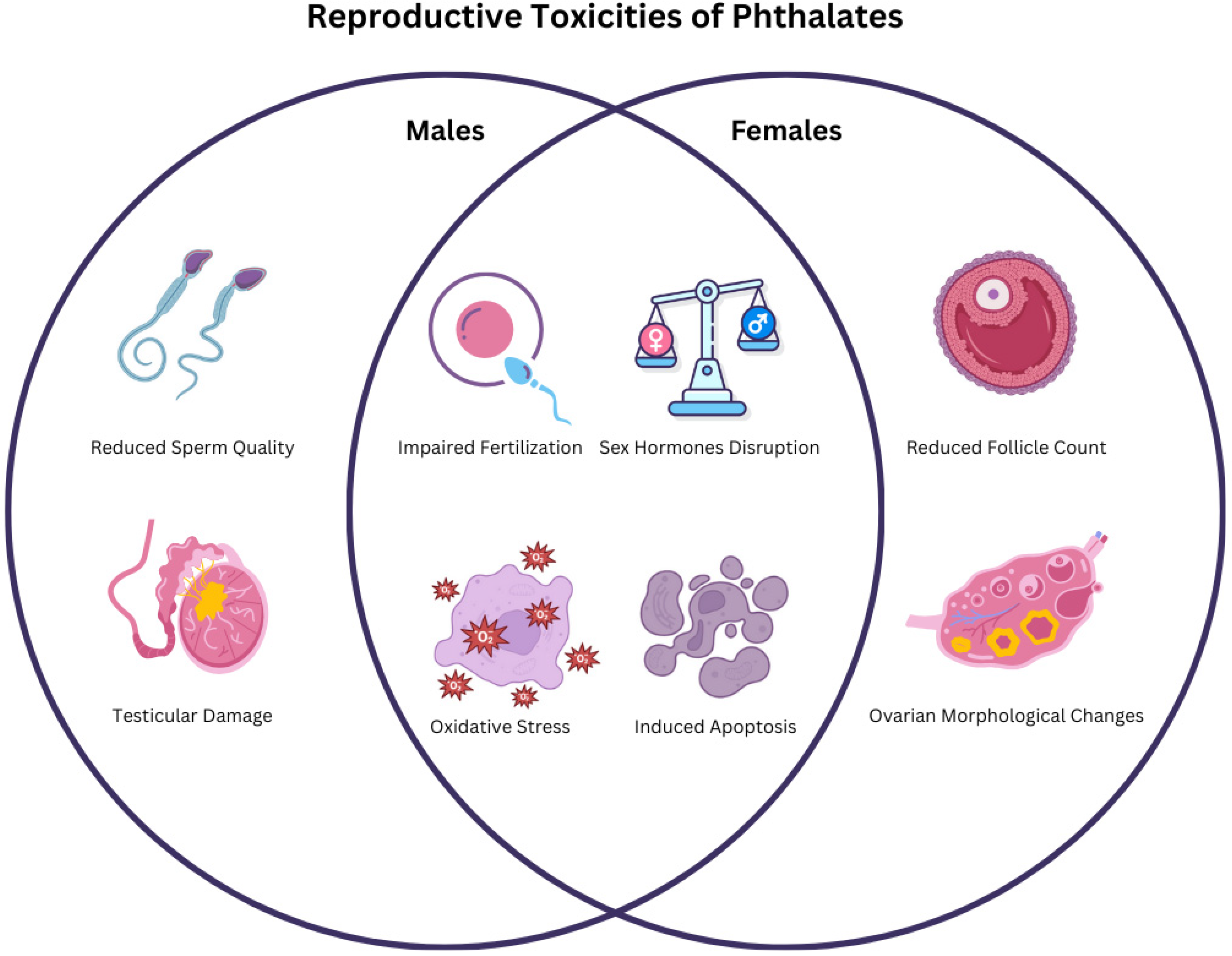 Ijms 26 08761 g001 Ijms 26 08761 g001