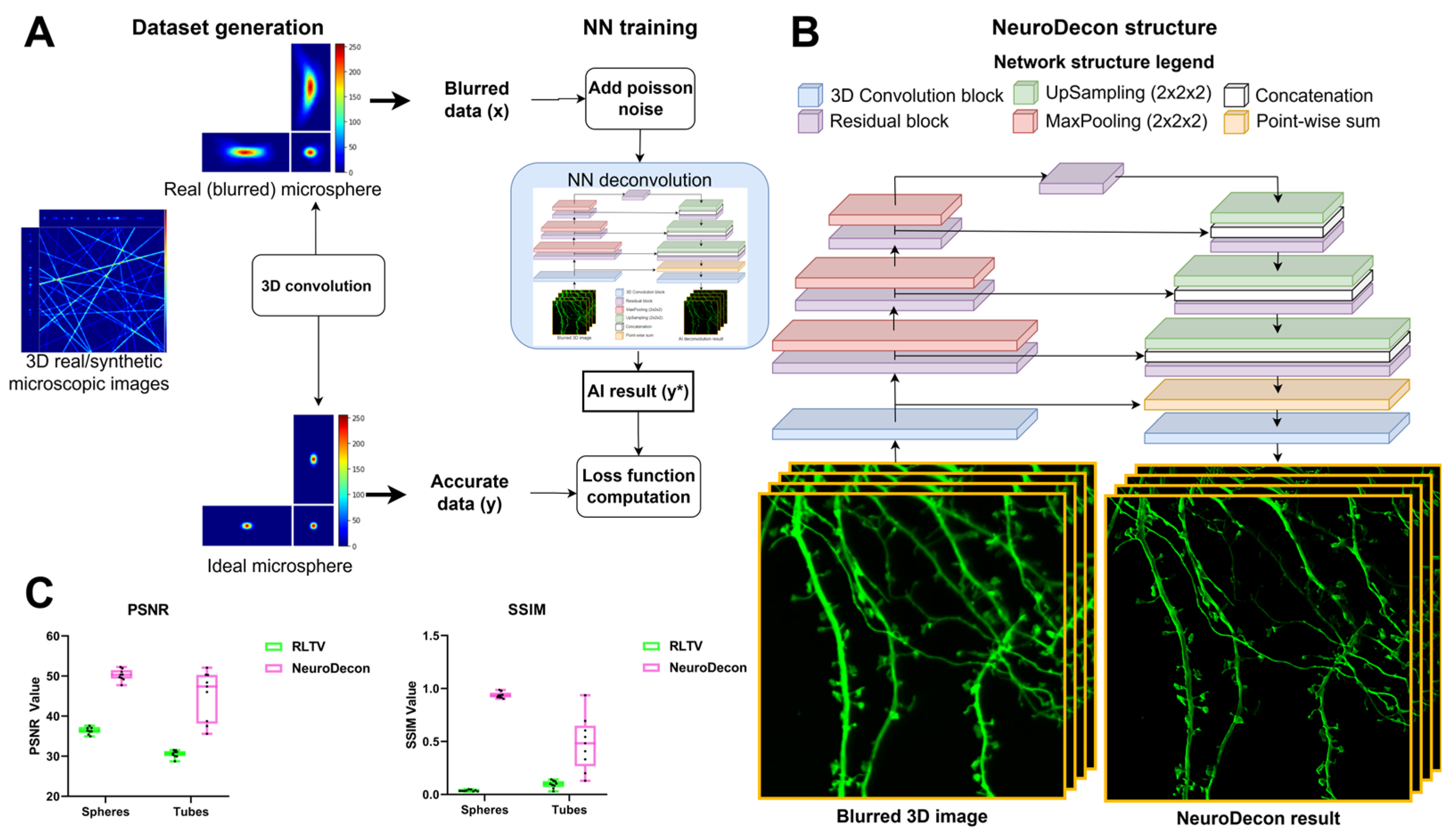 Ijms 26 08770 g001 Ijms 26 08770 g001