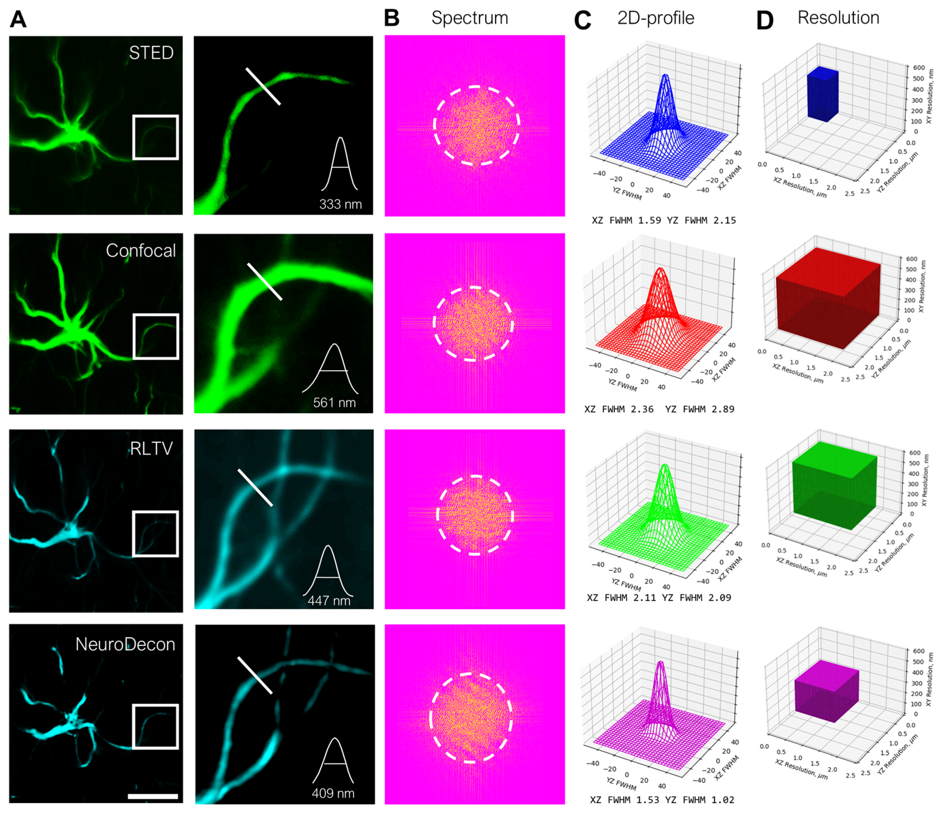 Ijms 26 08770 g002 Ijms 26 08770 g002