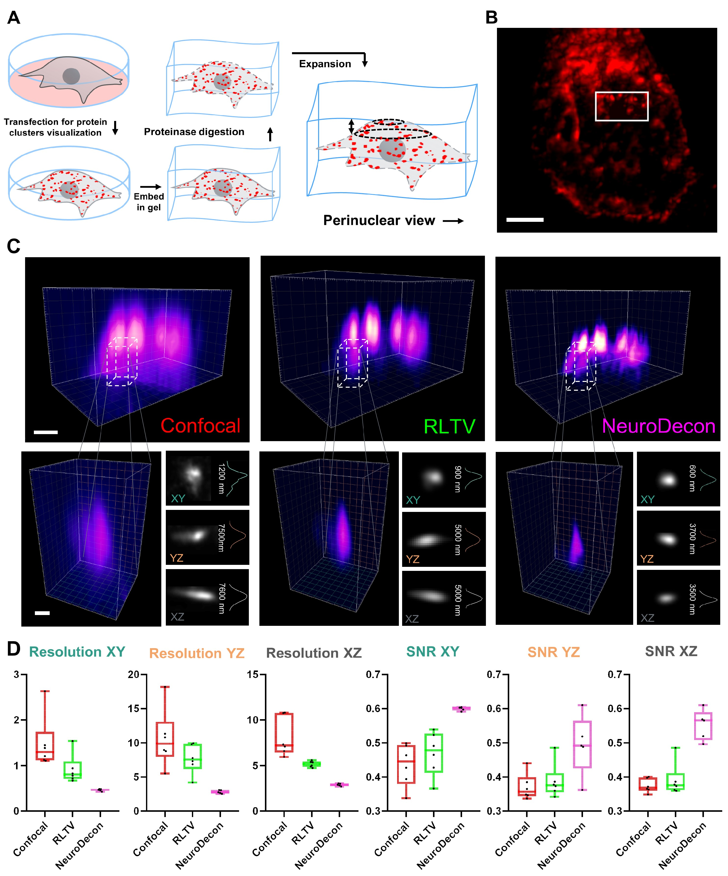 Ijms 26 08770 g003 Ijms 26 08770 g003