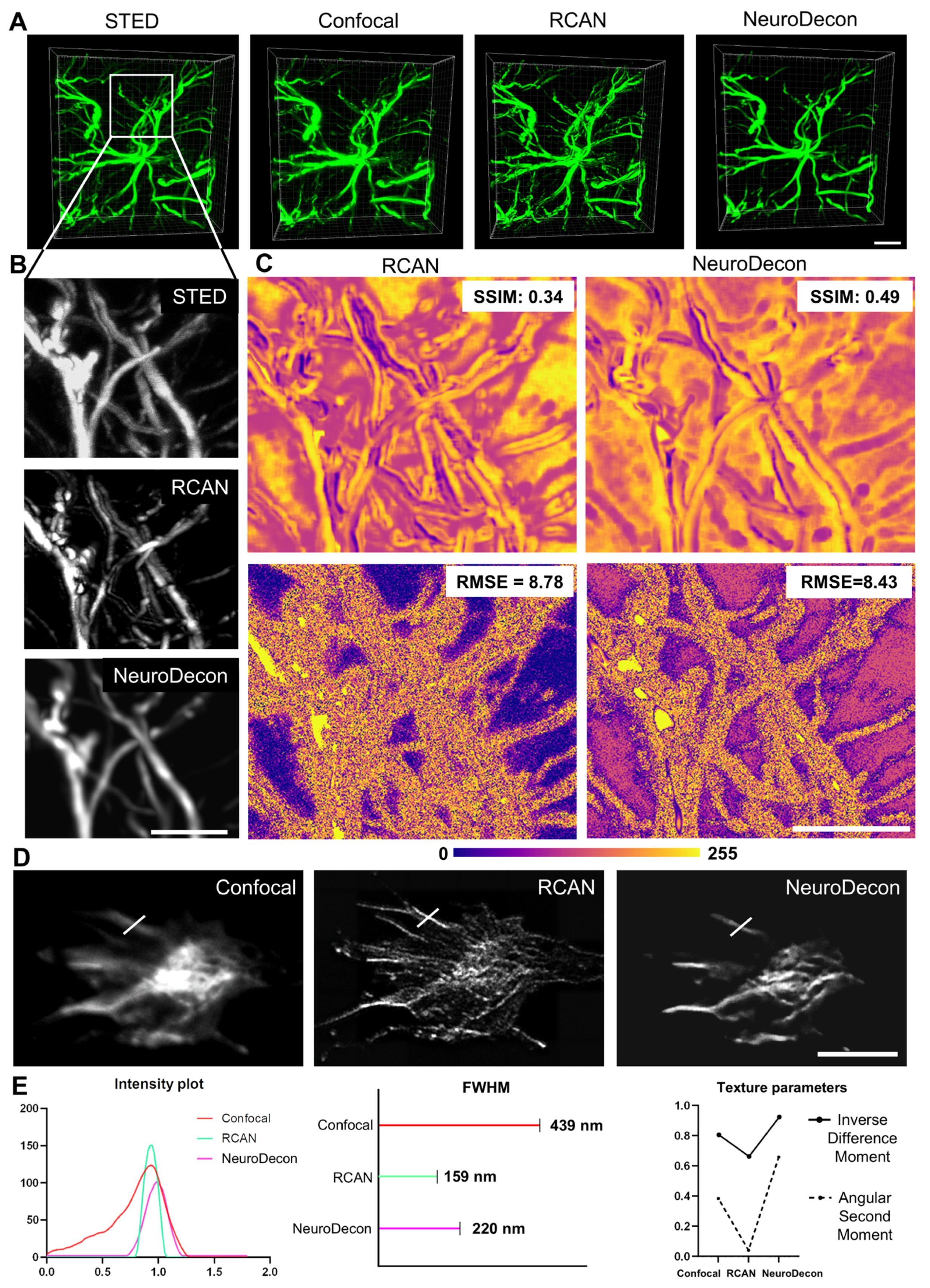 Ijms 26 08770 g005 Ijms 26 08770 g005