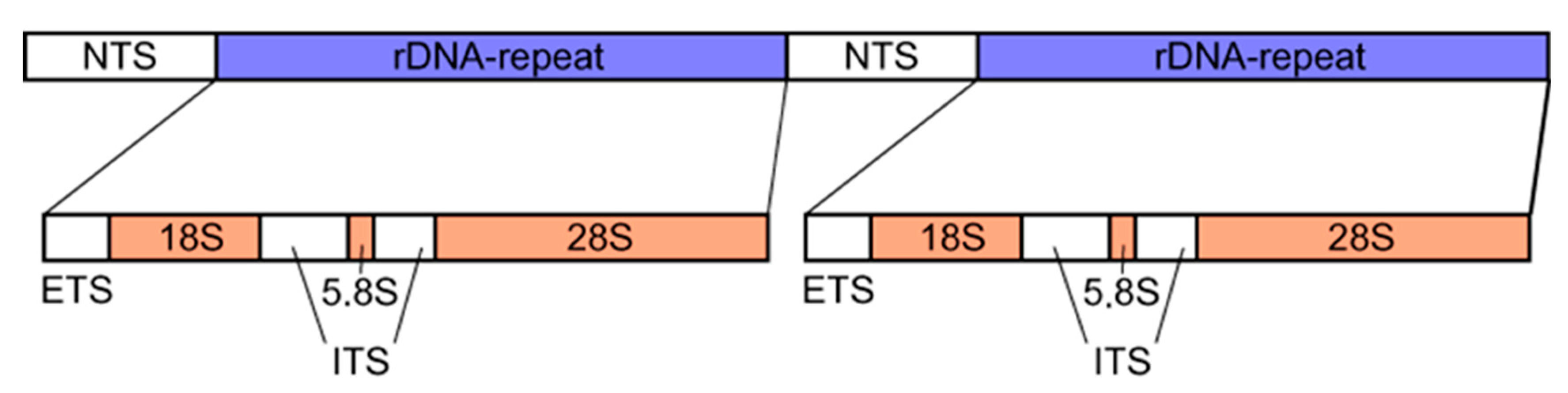 Ijms 26 08773 g001 Ijms 26 08773 g001