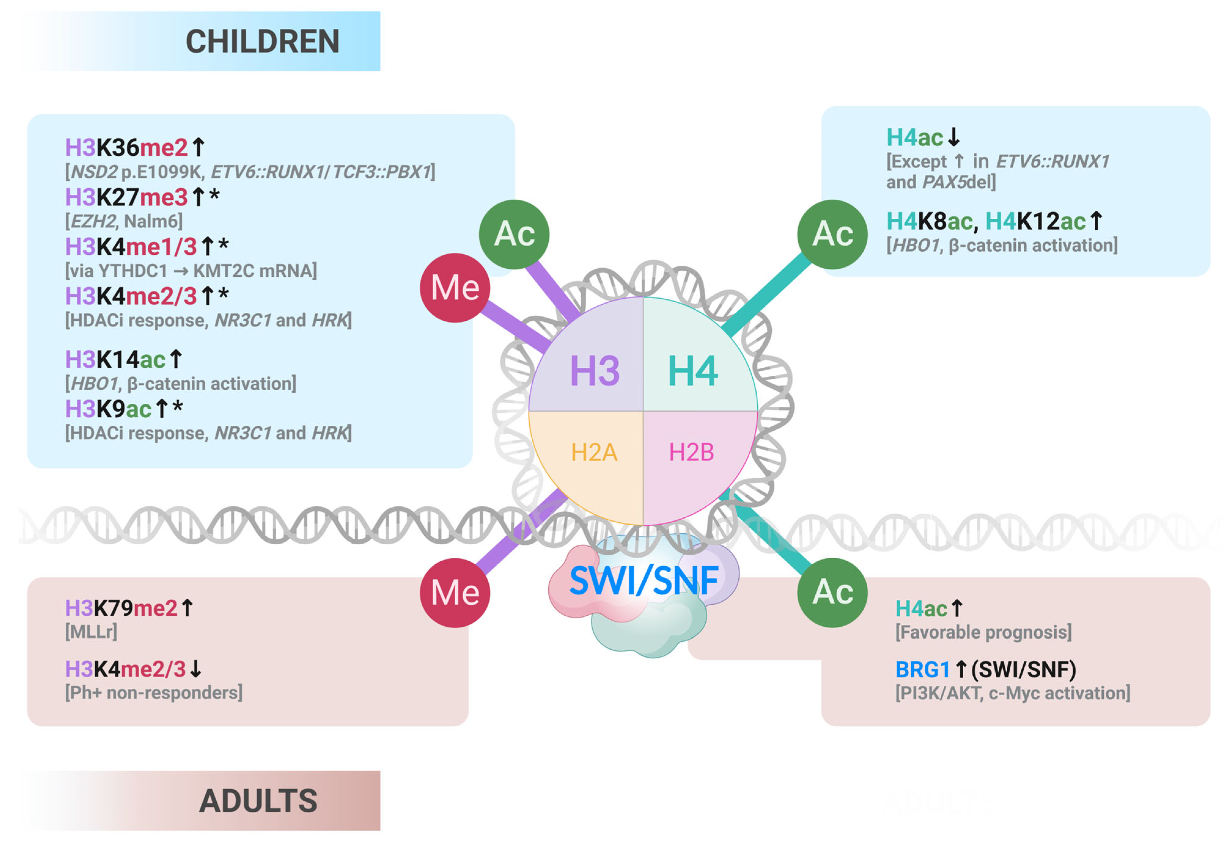 Ijms 26 08774 g002 Ijms 26 08774 g002