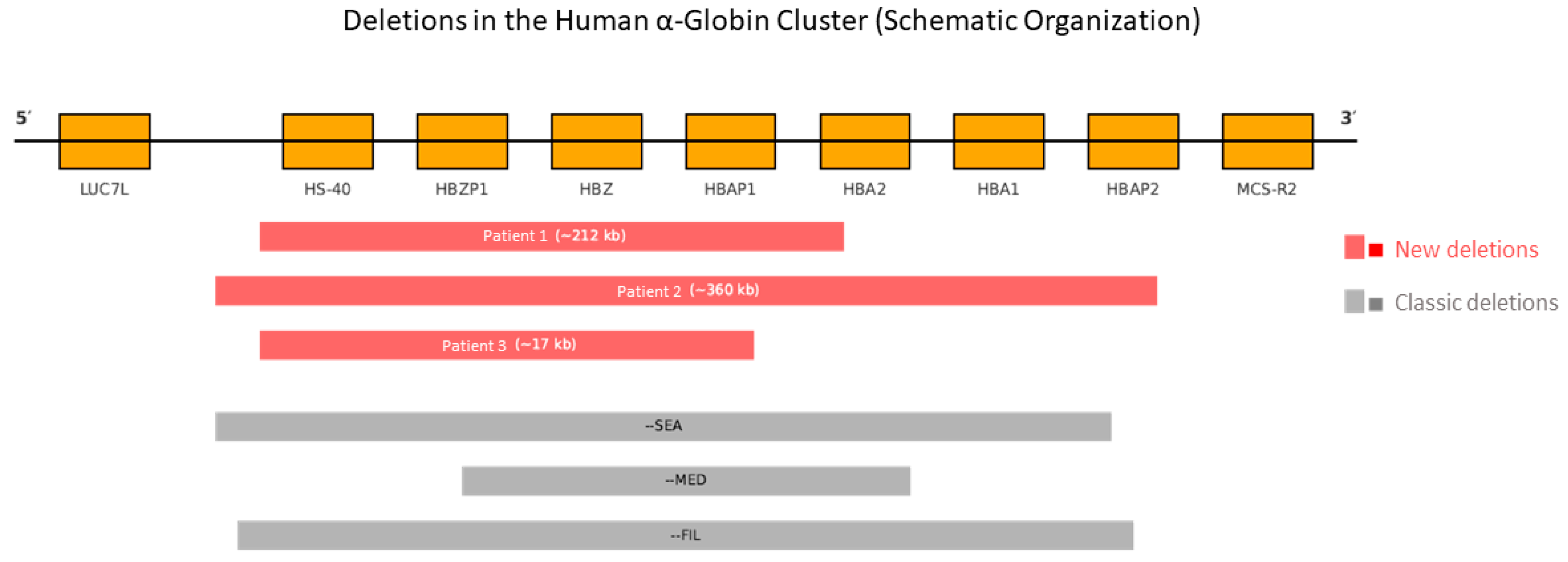 Ijms 26 08783 g001 Ijms 26 08783 g001