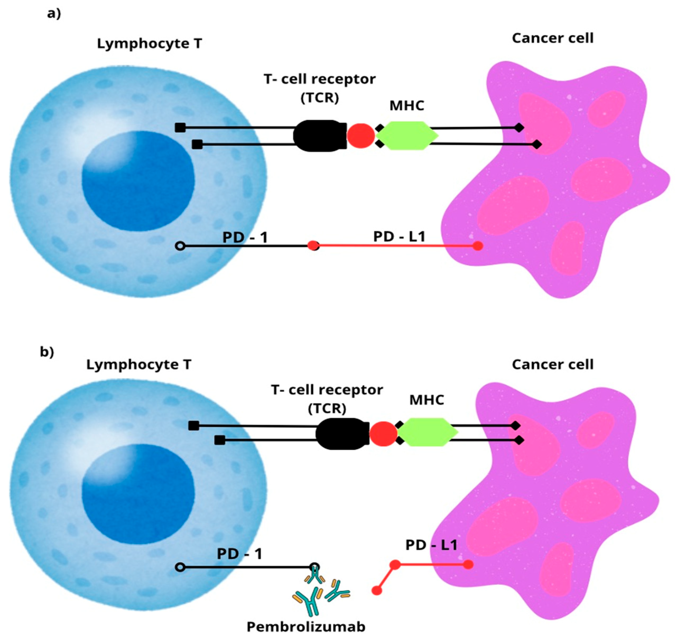 Ijms 26 08789 g002 Ijms 26 08789 g002