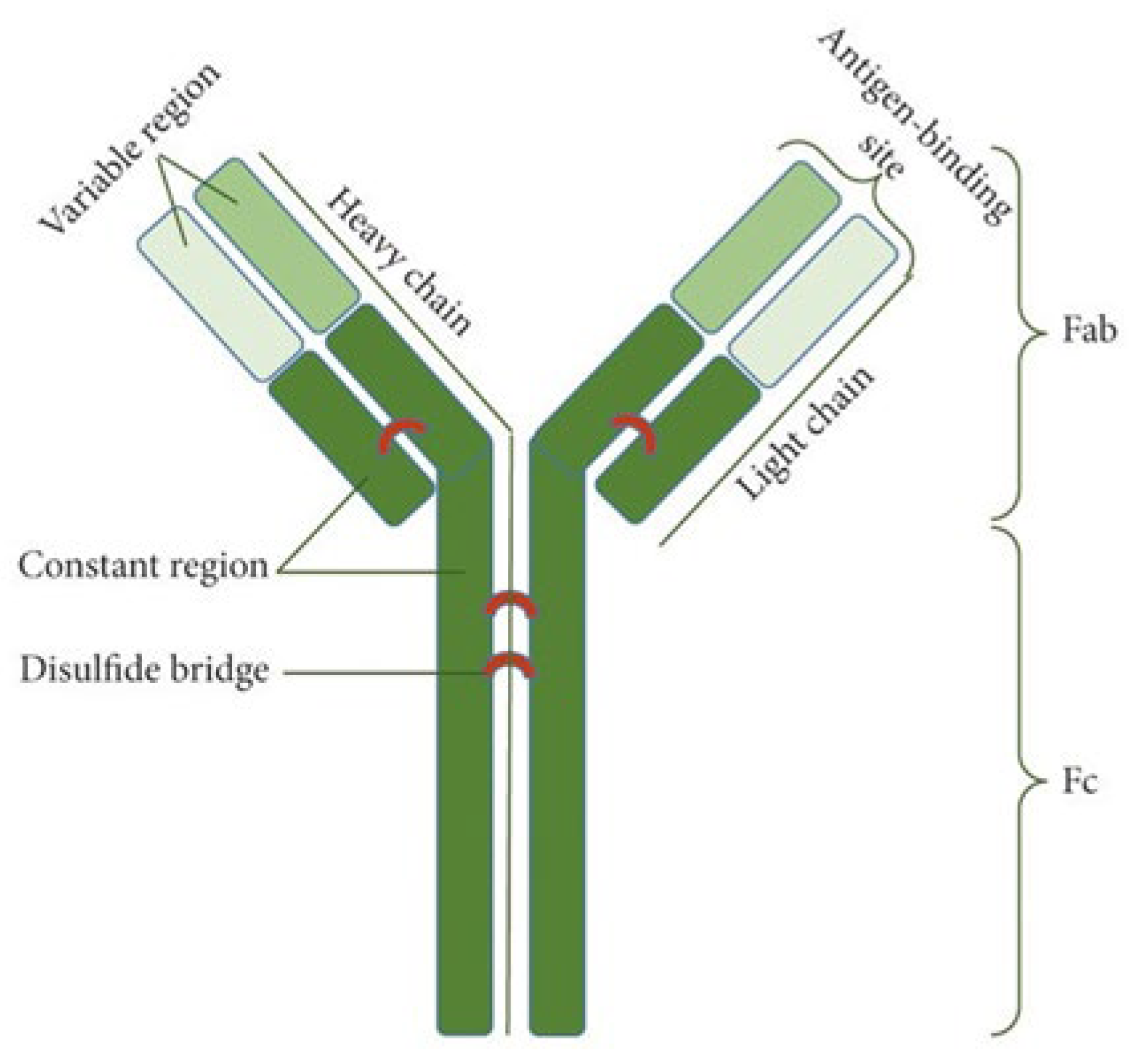Monoclonal Antibodies Historical Perspective And Current Trends In Monoclonal Antibodies Historical Perspective And Current Trends In