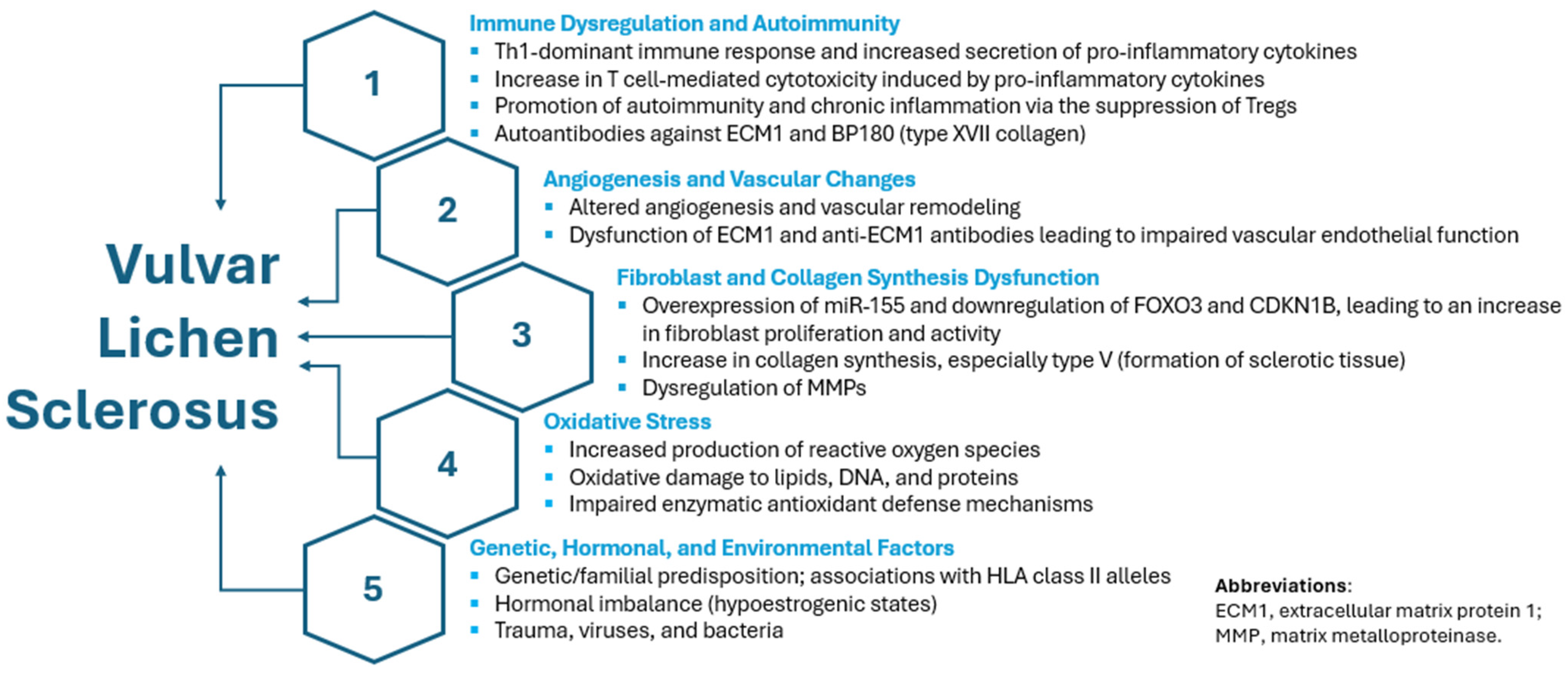 Ijms 26 08808 g001 Ijms 26 08808 g001