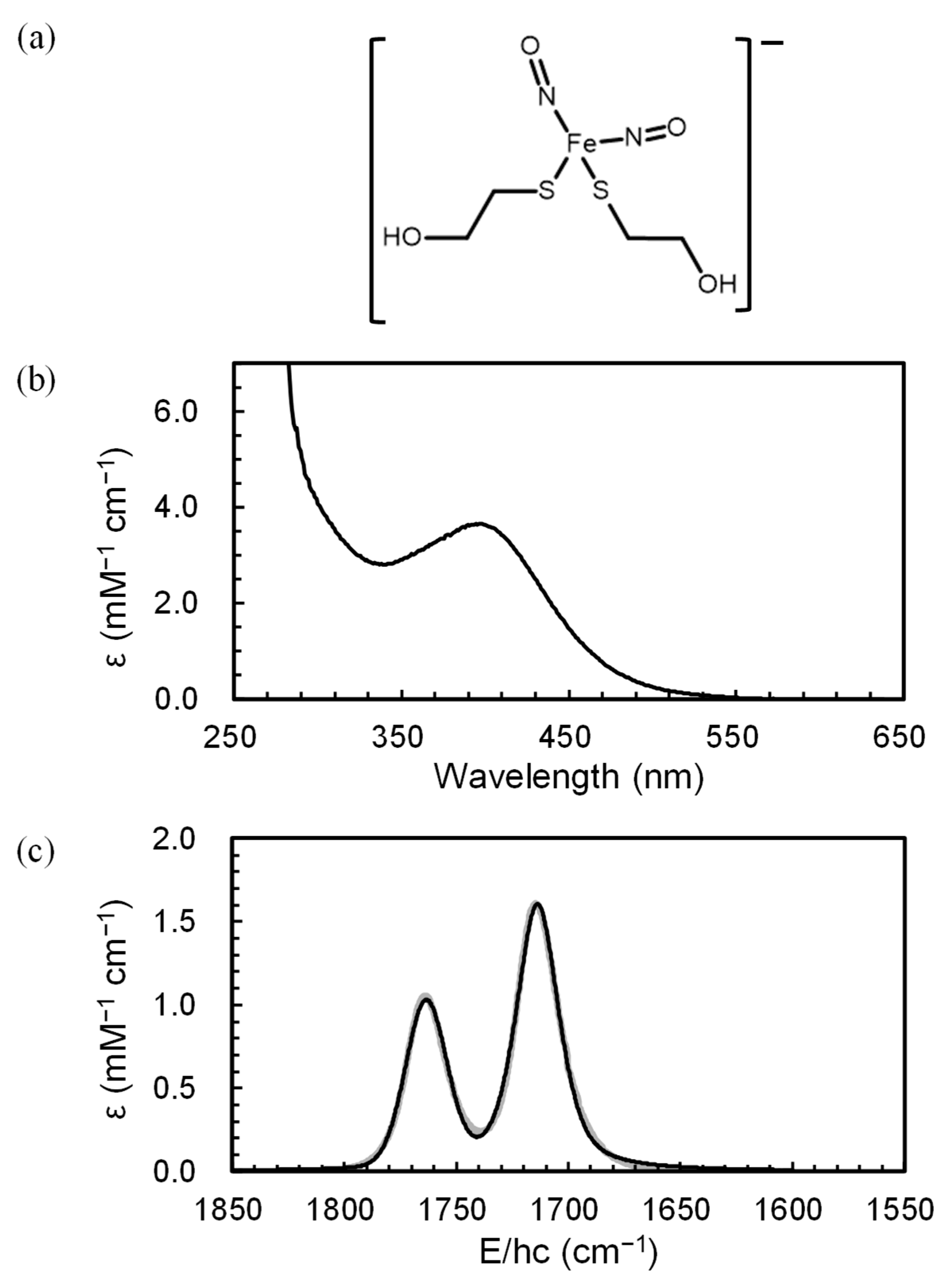 Ijms 26 08835 g001 Ijms 26 08835 g001