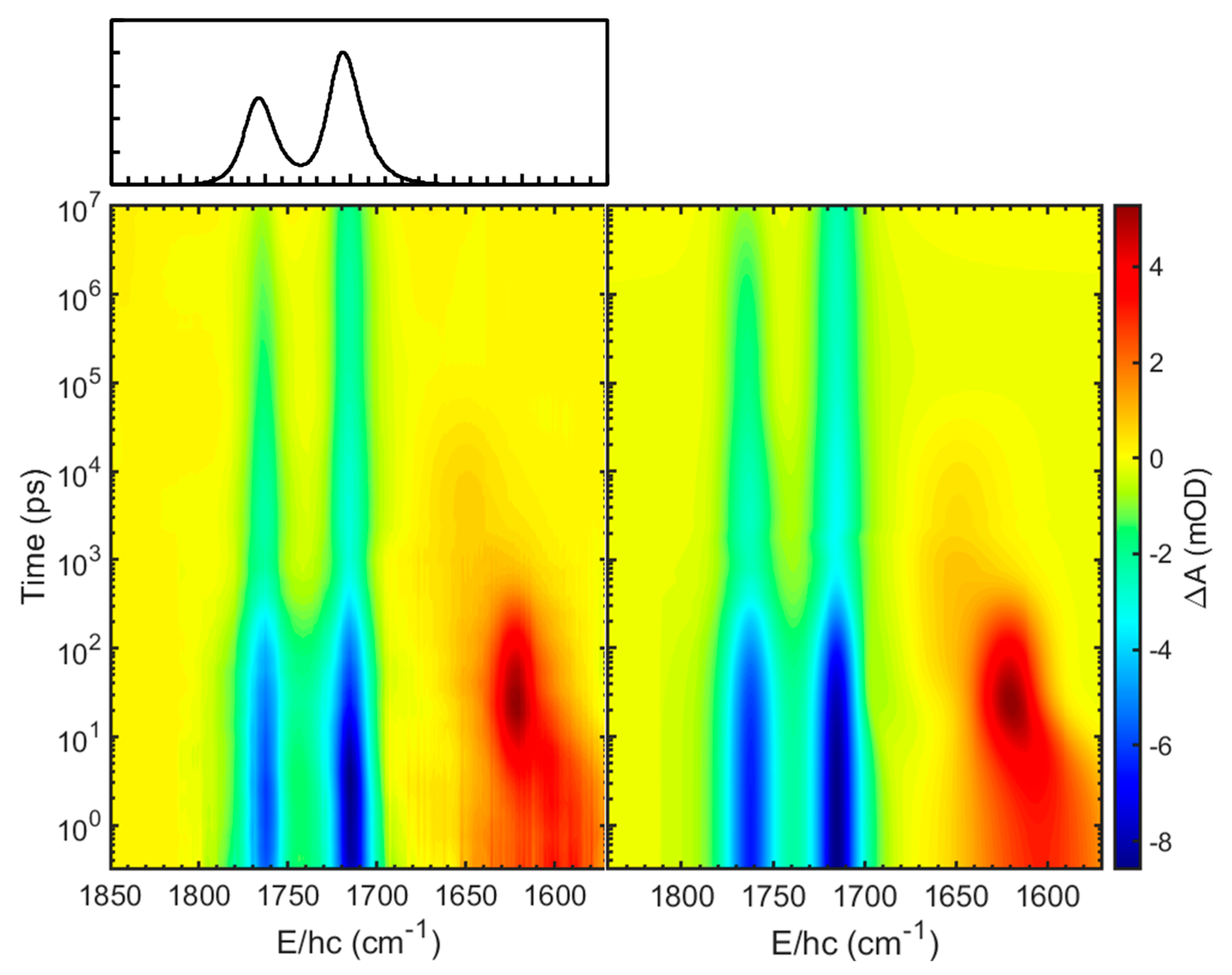 Ijms 26 08835 g002 Ijms 26 08835 g002