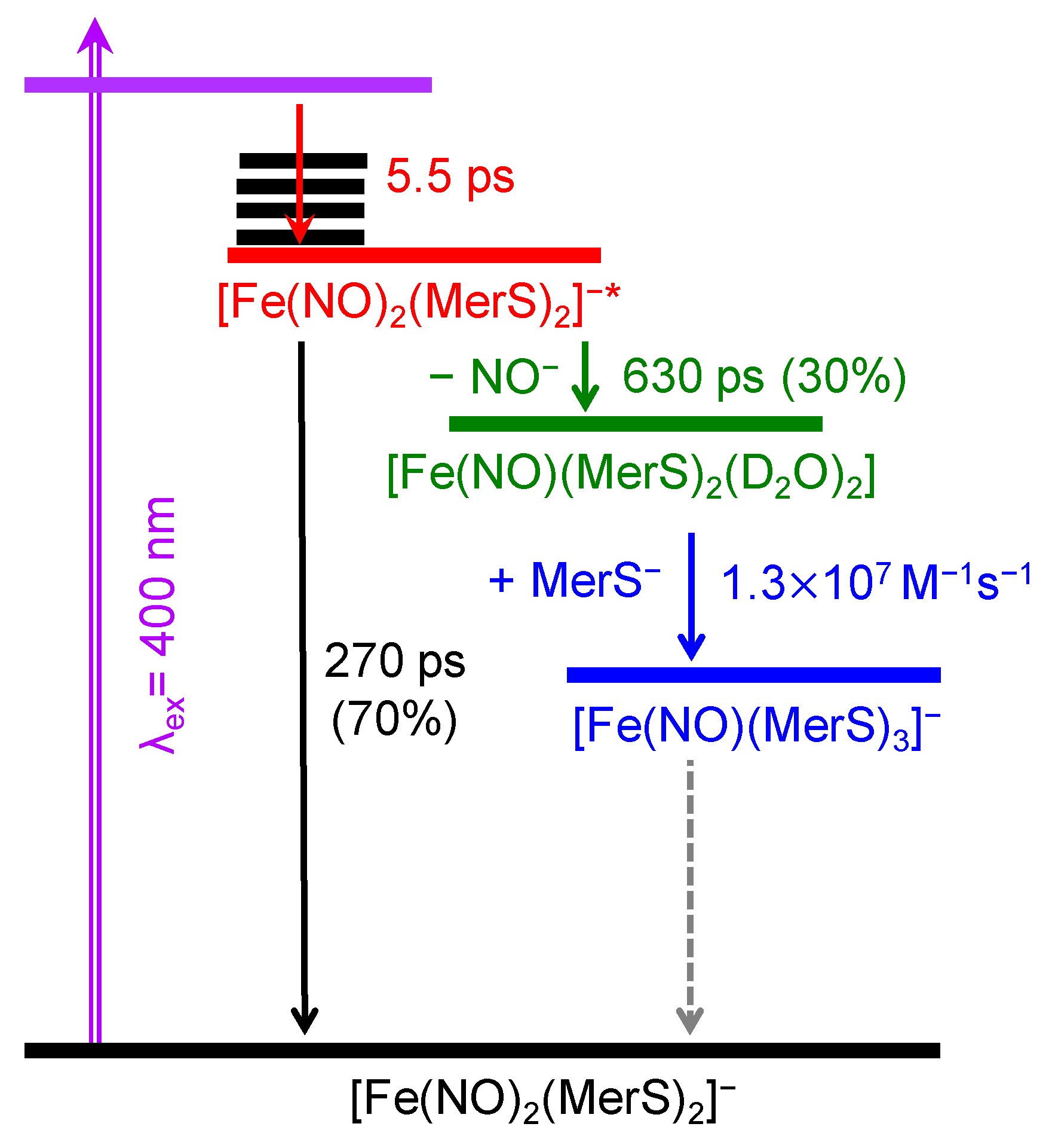 Ijms 26 08835 g006 Ijms 26 08835 g006
