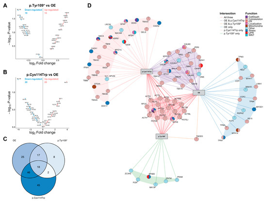 Molecular Consequences of CCN6 Variants Encoding WISP3 in