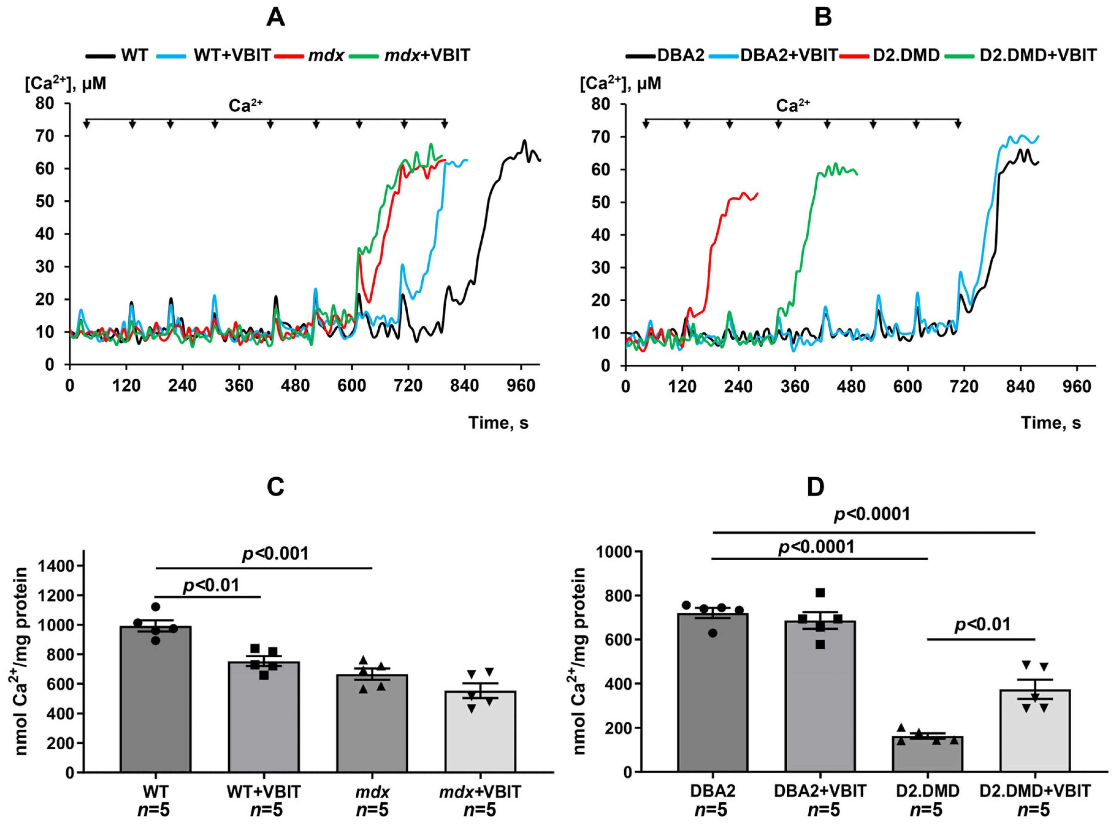 Ijms 26 08845 g002 Ijms 26 08845 g002