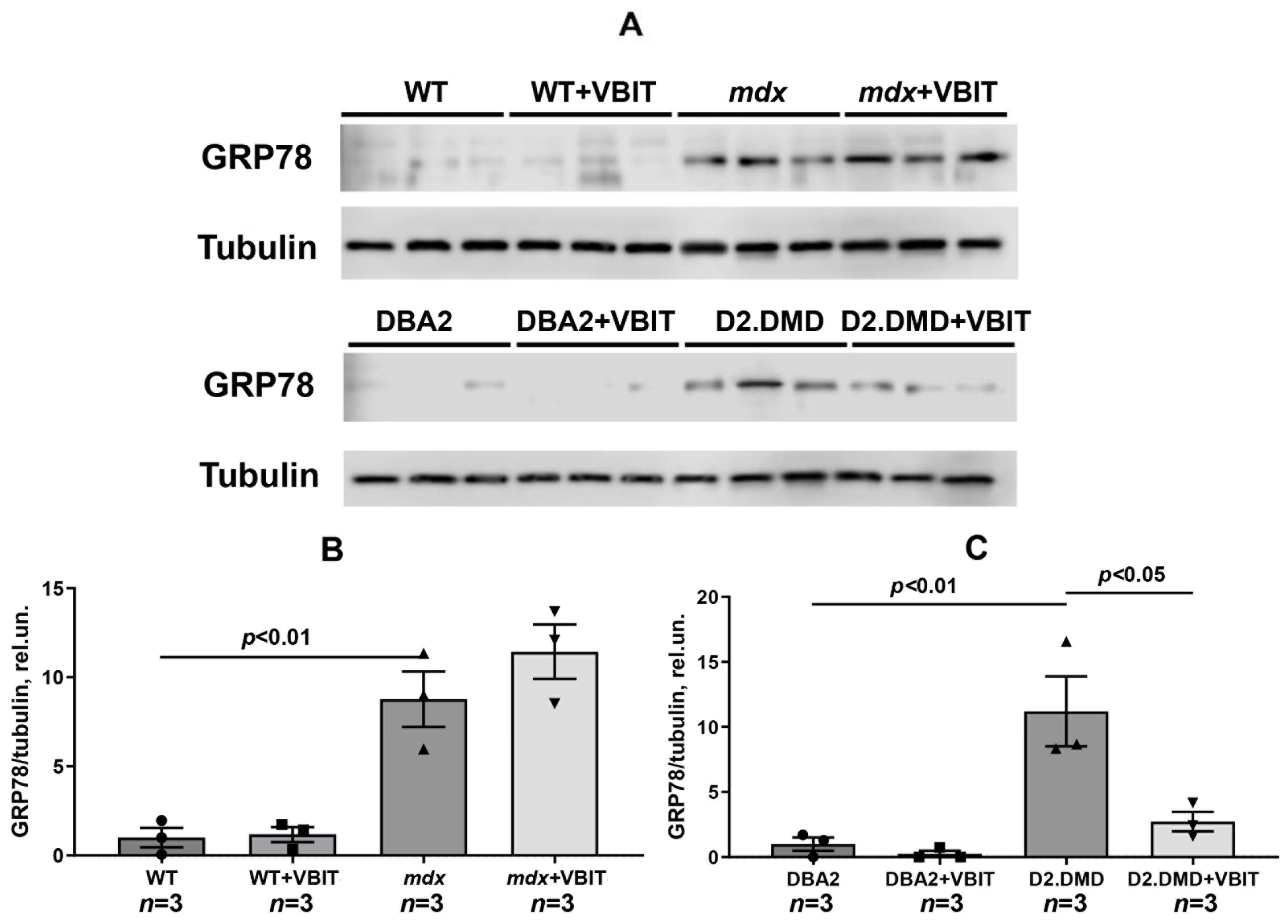 Ijms 26 08845 g004 Ijms 26 08845 g004