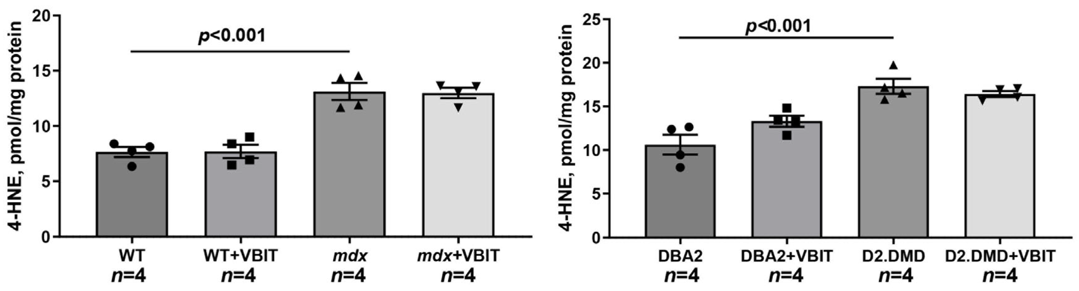 Ijms 26 08845 g005 Ijms 26 08845 g005